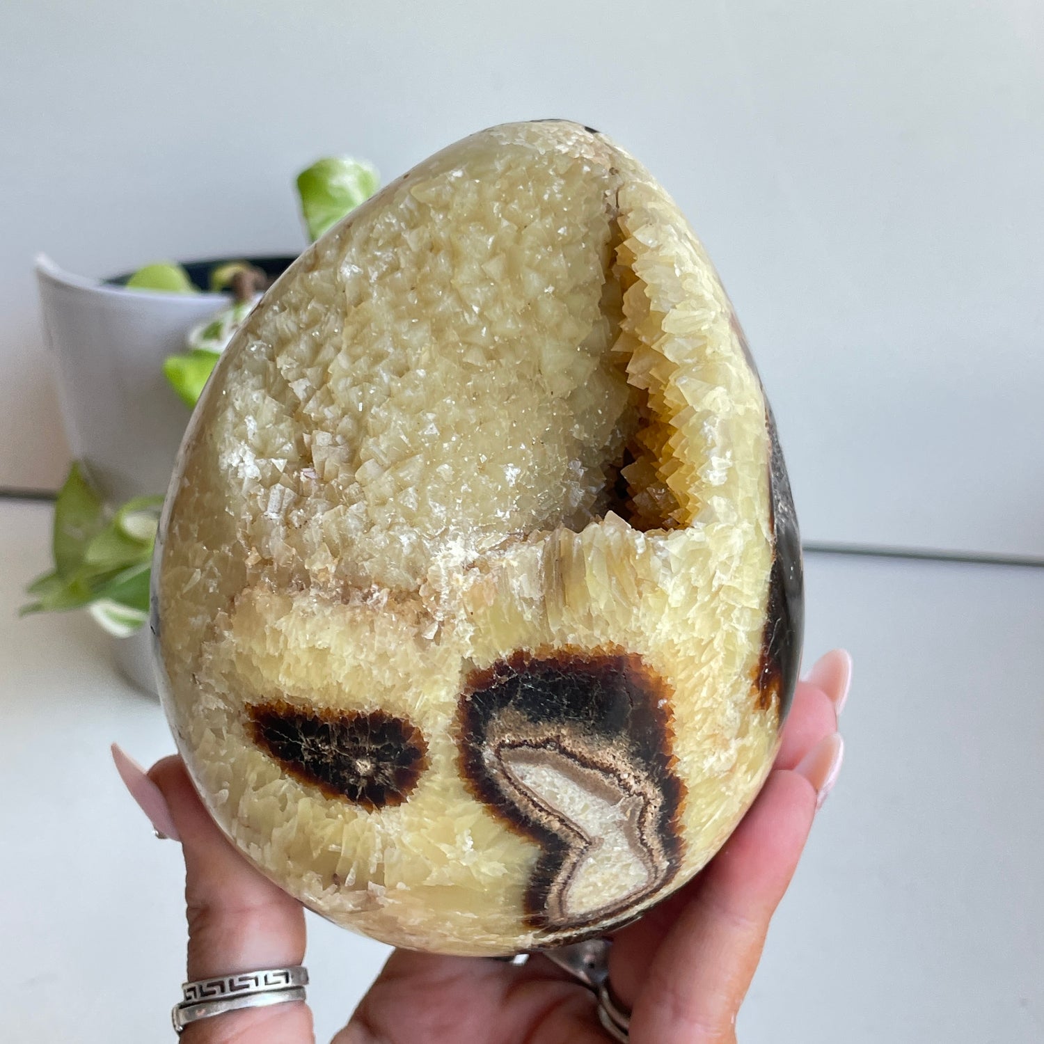 Septarian Egg 12.1cm