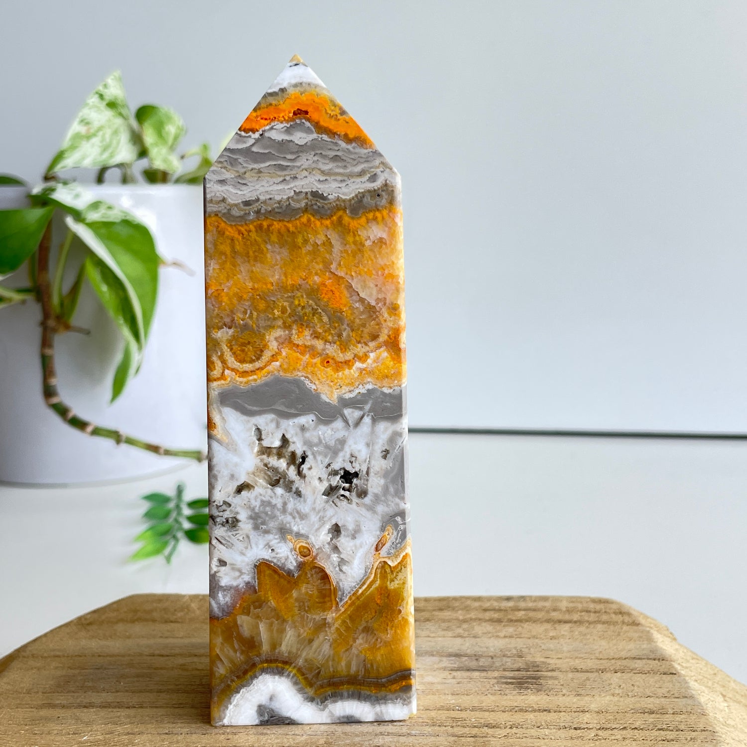 Bumblebee Jasper Obelisk 13.4cm