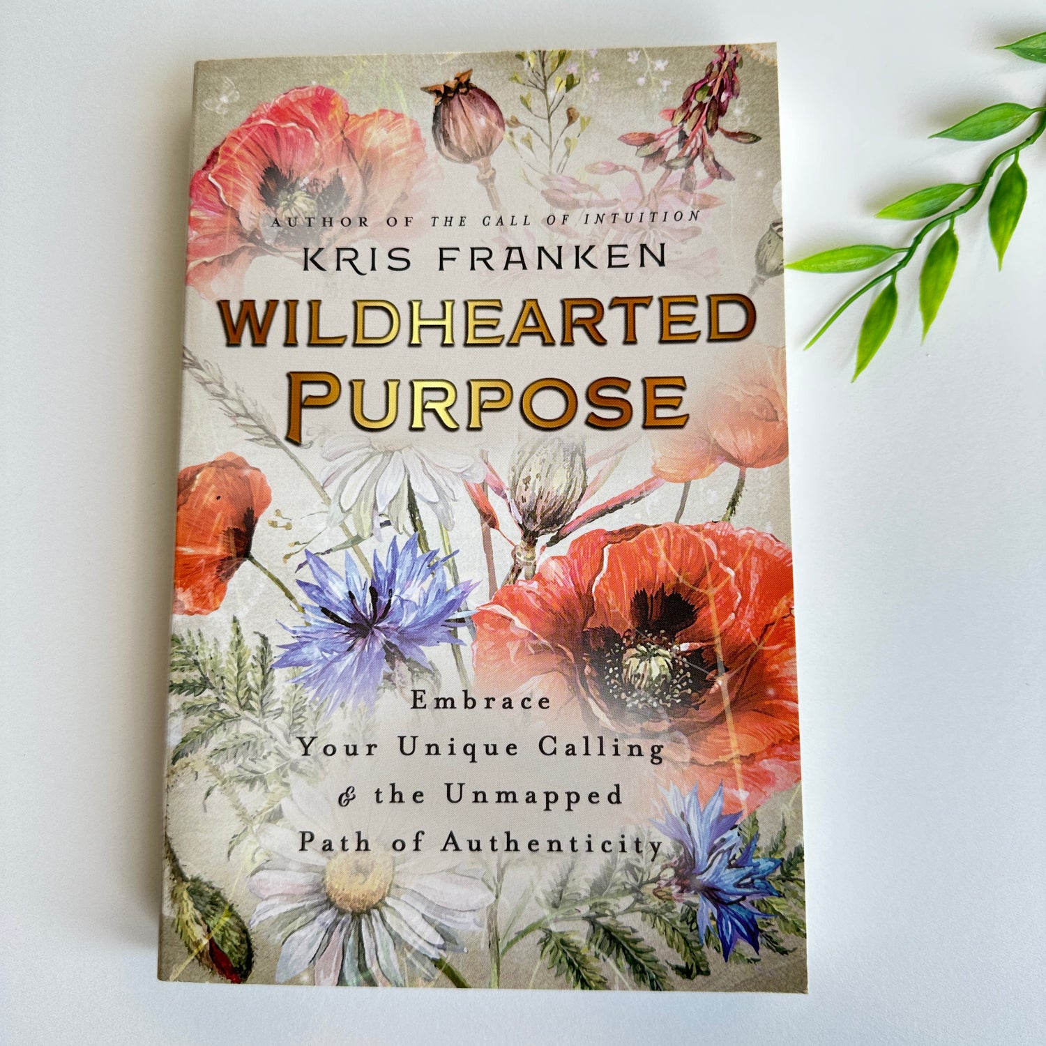 Wildhearted Purpose Kris Franken