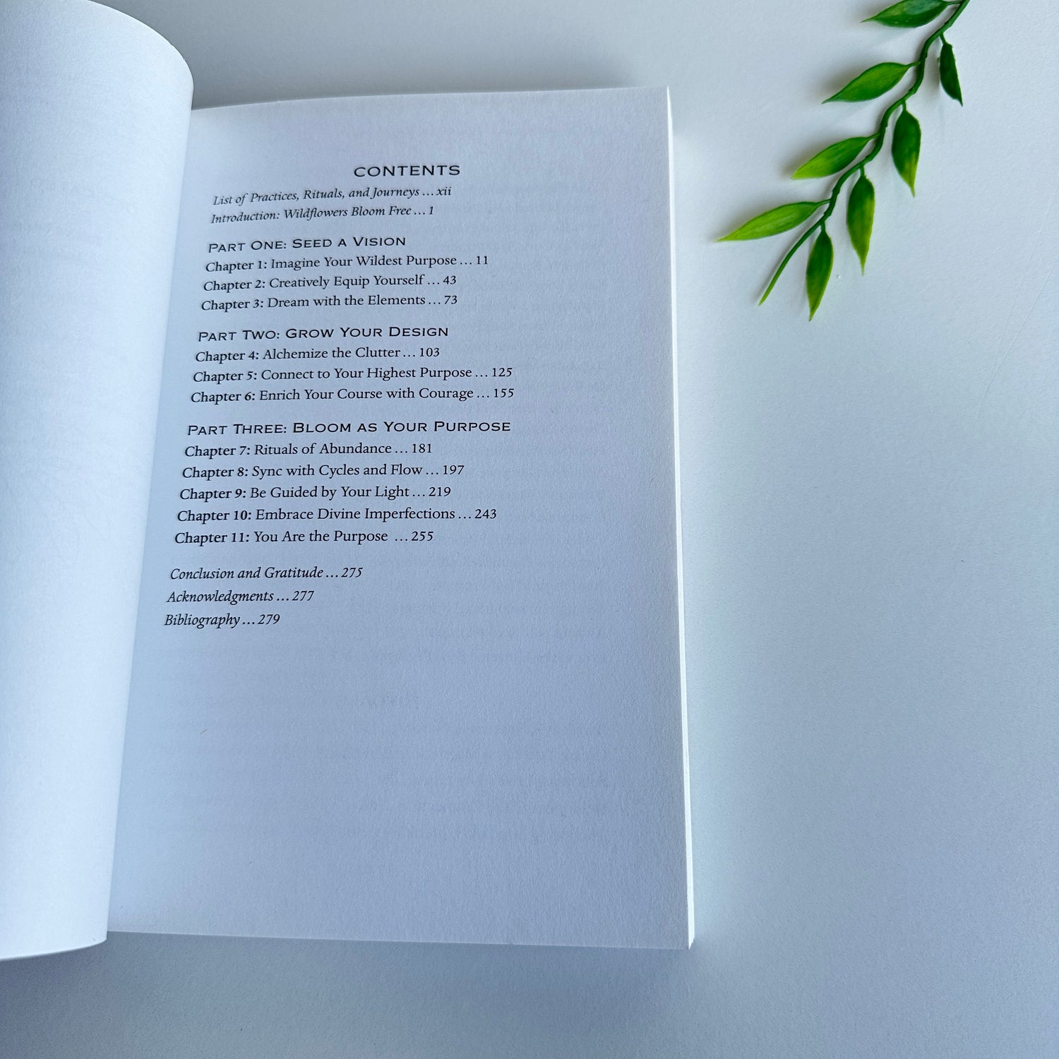 Wildhearted Purpose Kris Franken