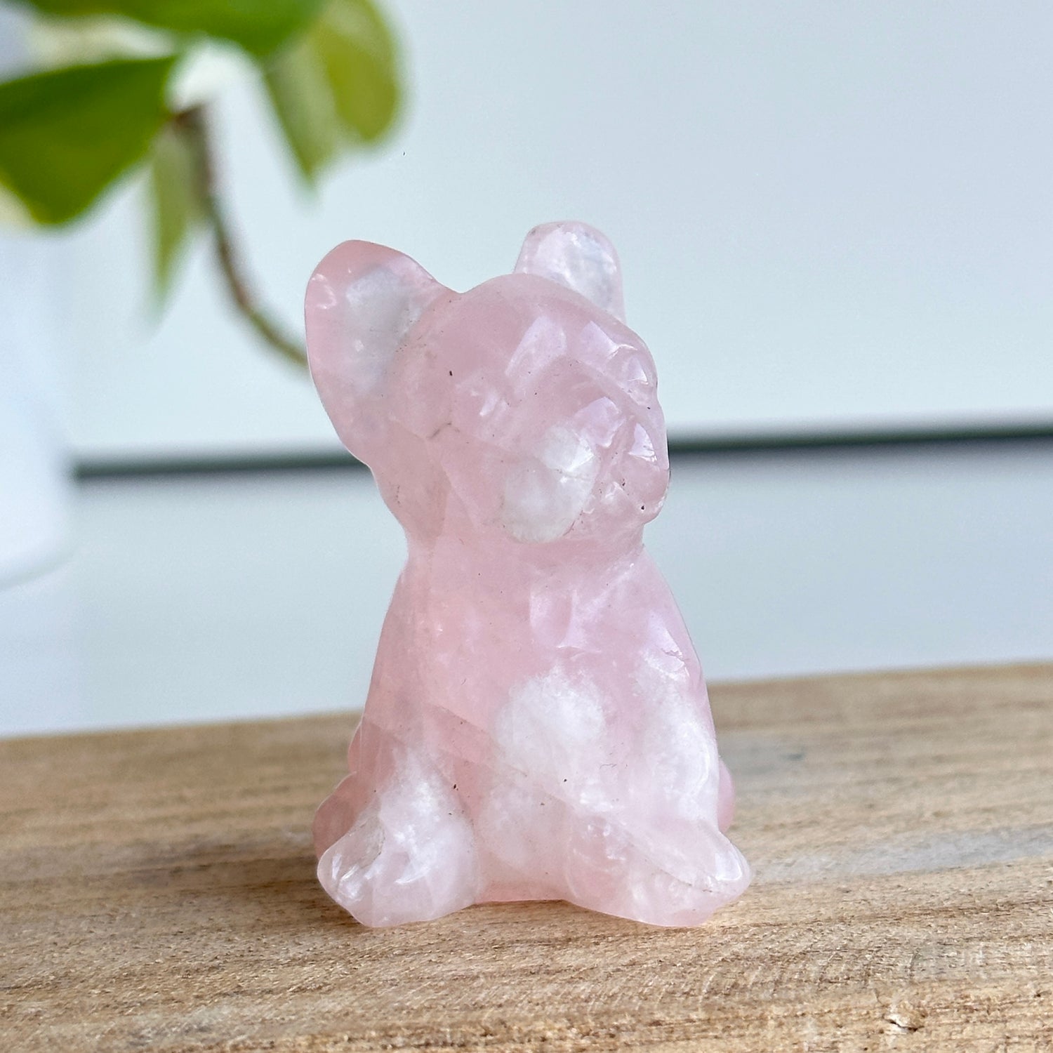 Rose Quartz Frenchie
