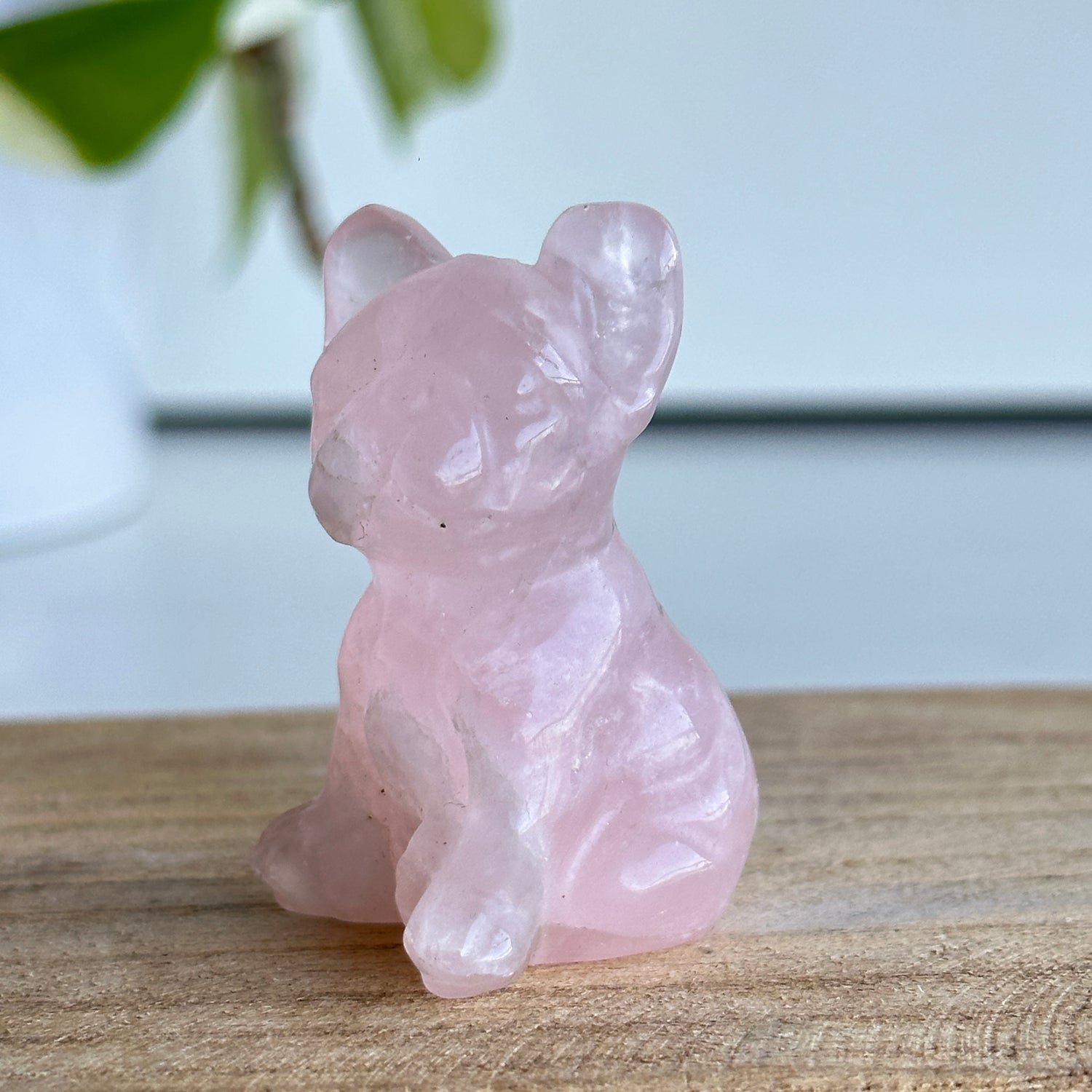 Rose Quartz Frenchie