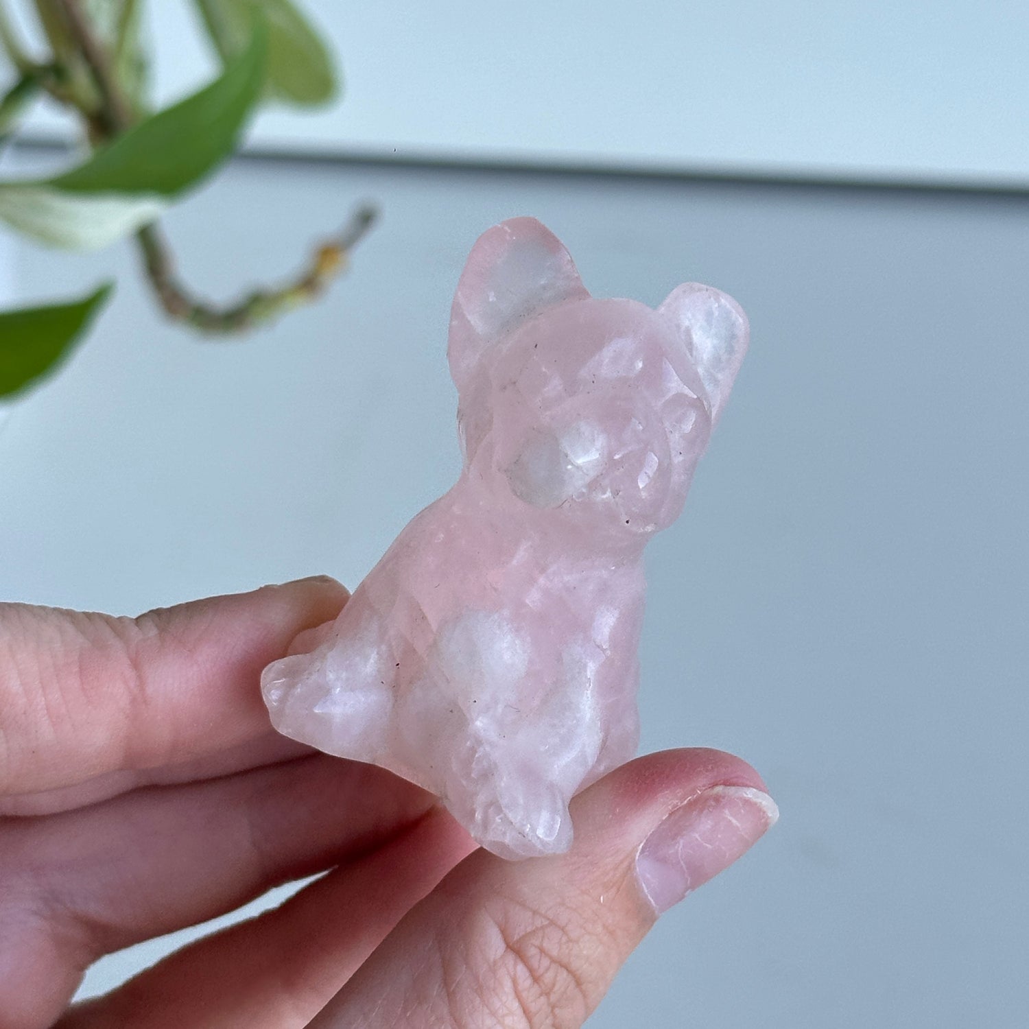 Rose Quartz Frenchie