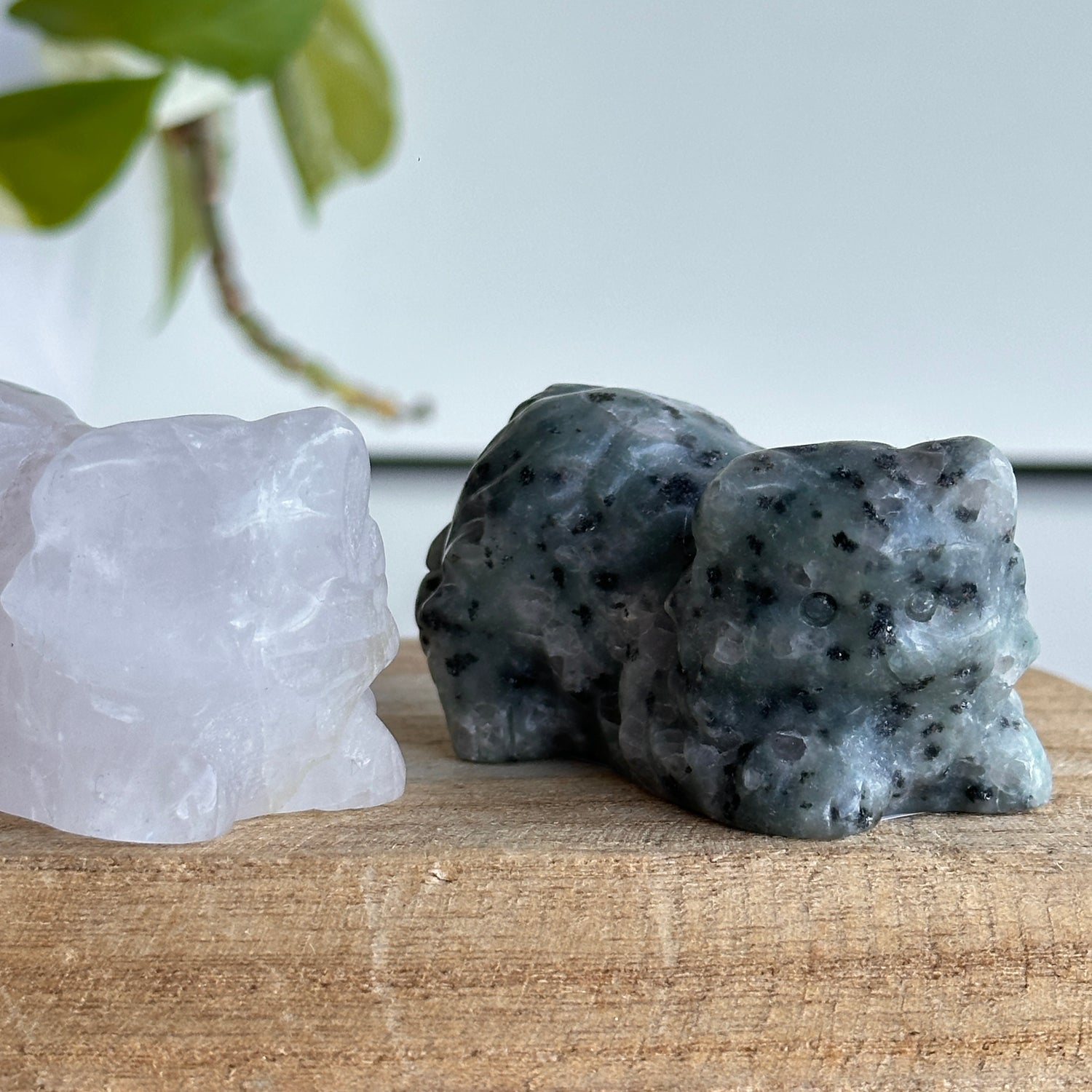 Crystal Laying Cat