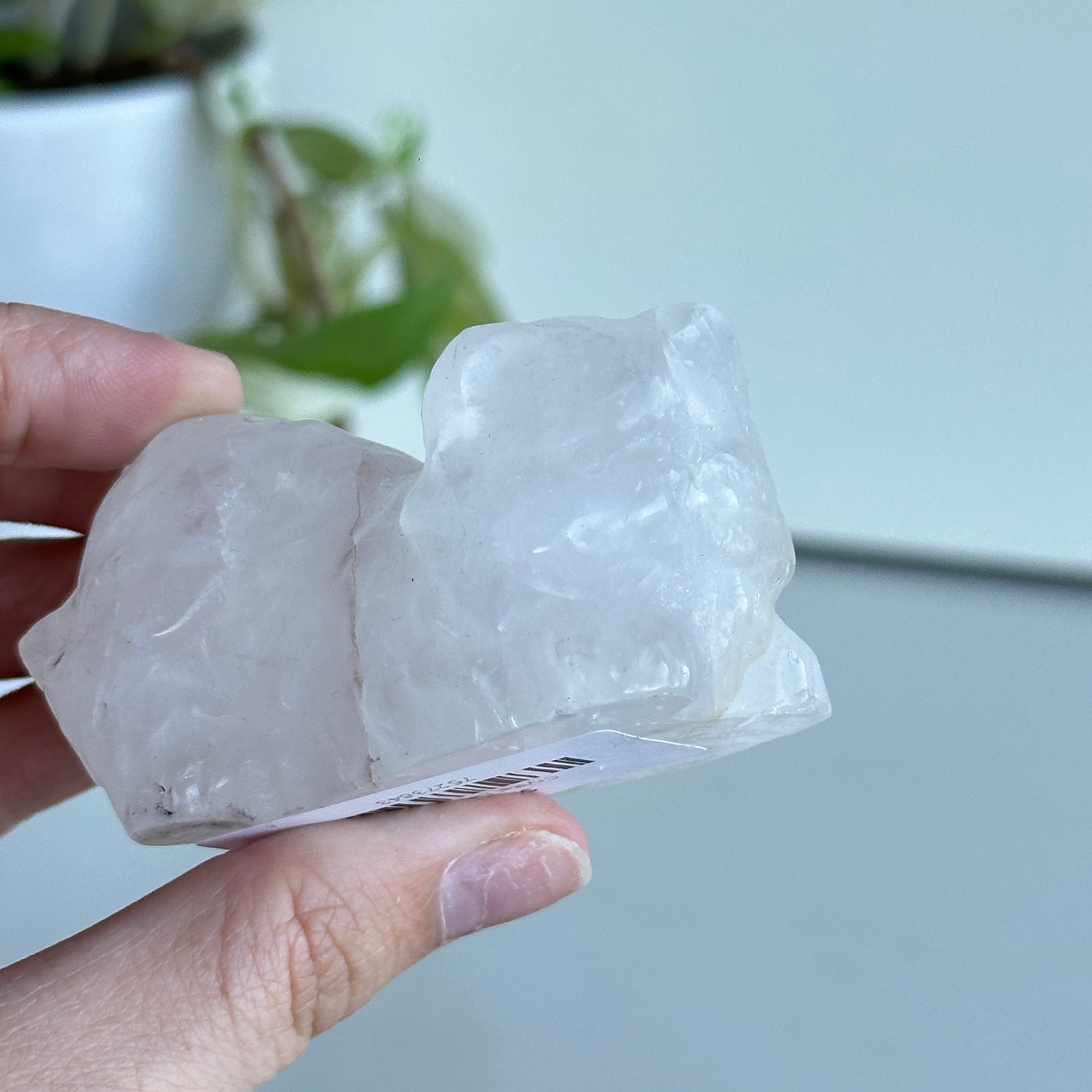 Crystal Laying Cat