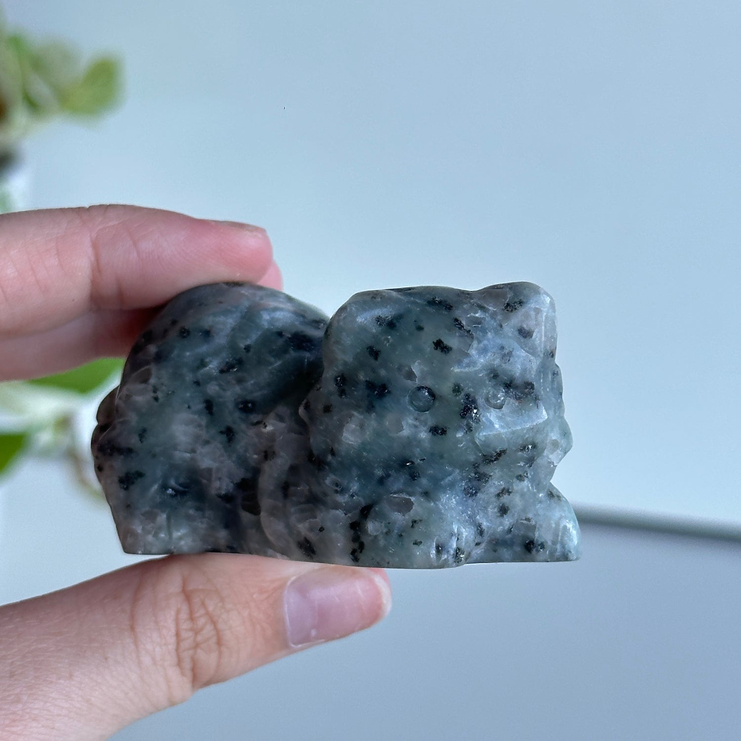 Crystal Laying Cat