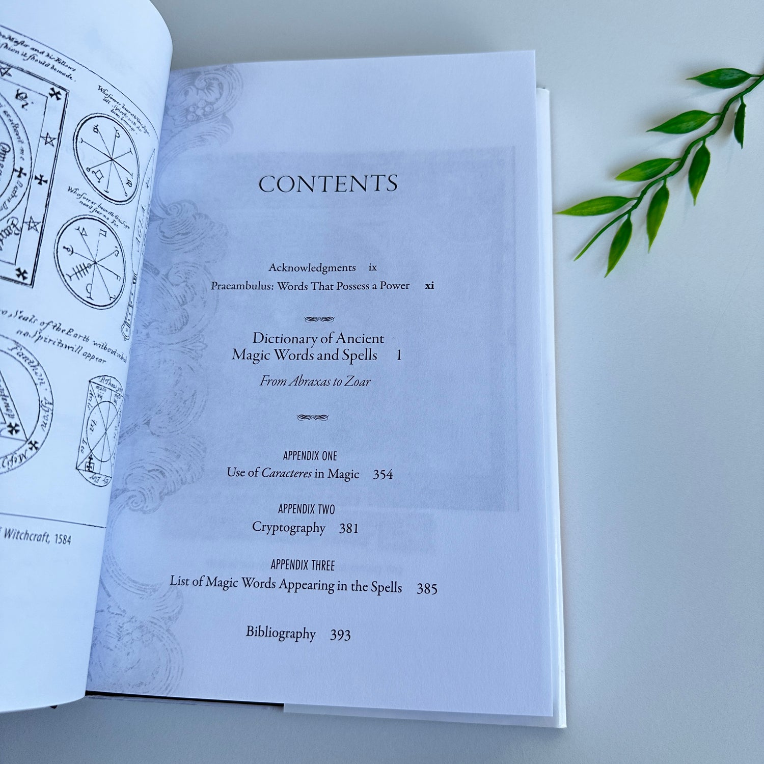 Dictionary Of Ancient Magic Words And Spells Claude Lecouteux