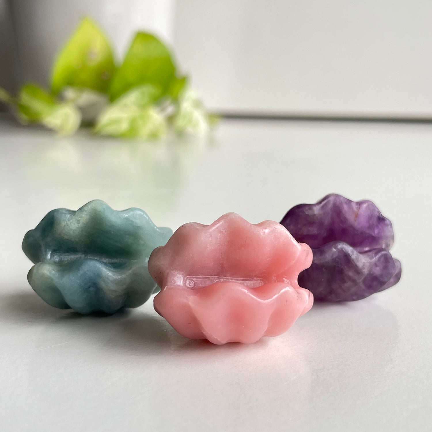 Crystal Clam Shell