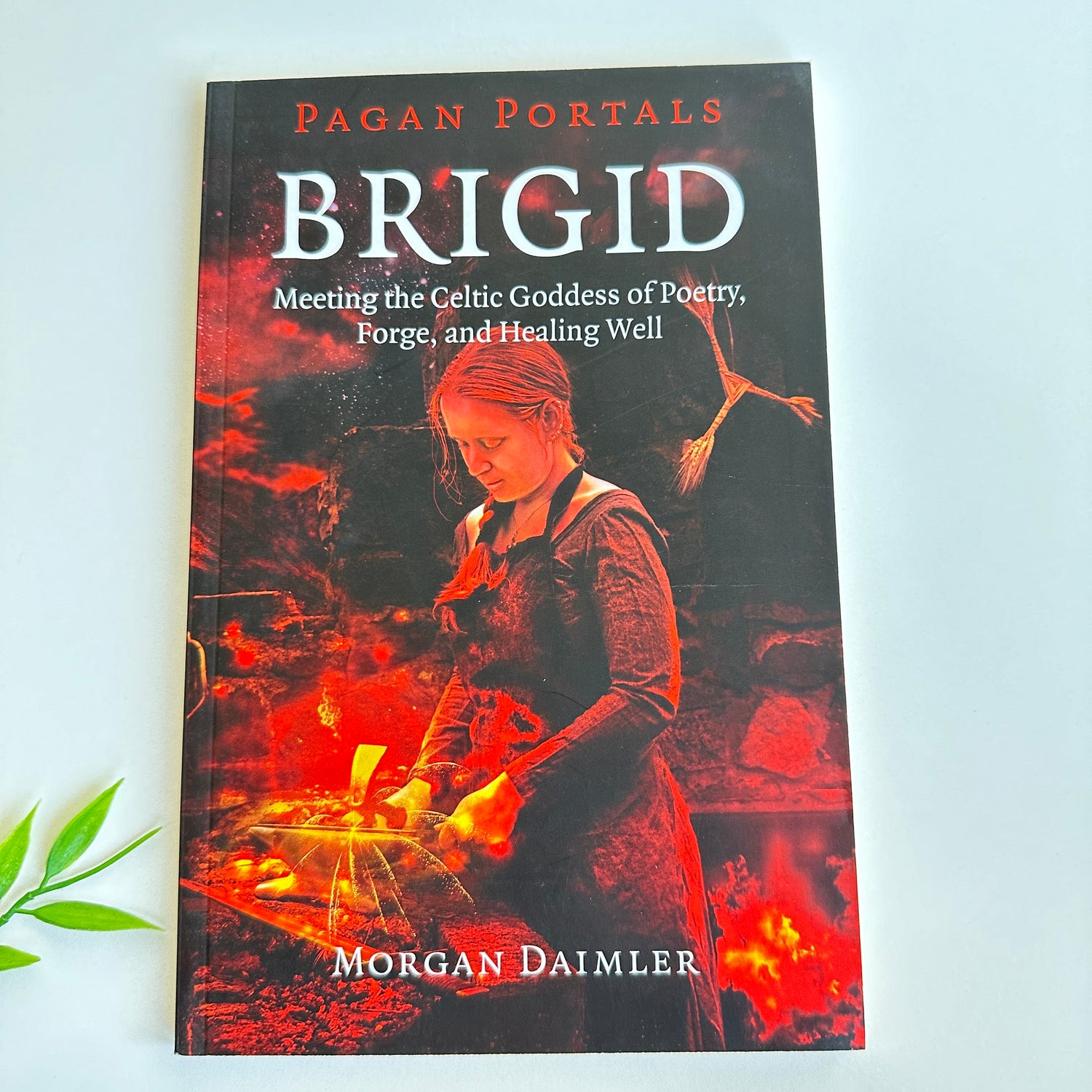 Pagan Portals Brigid Morgan Daimler