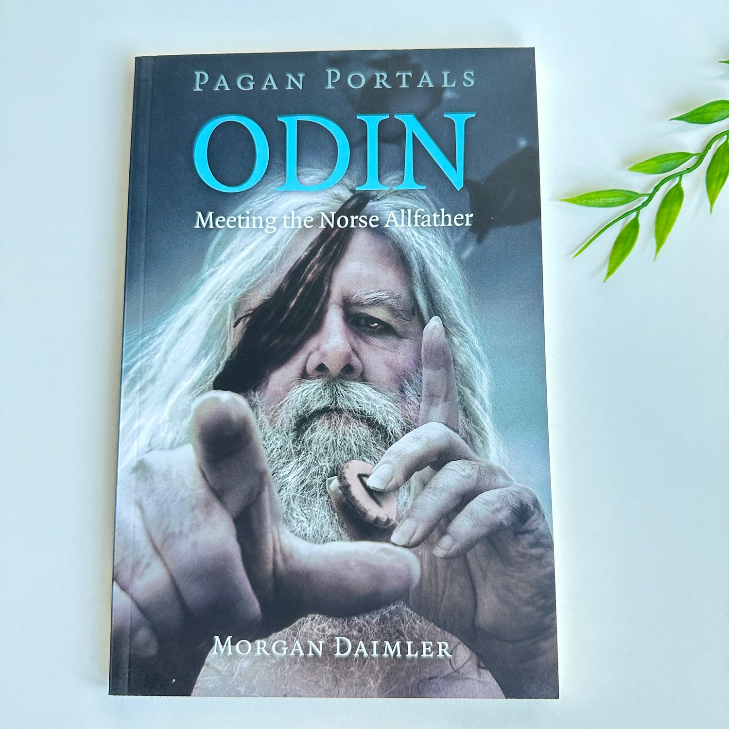 Pagan Portals Odin Morgan Daimler