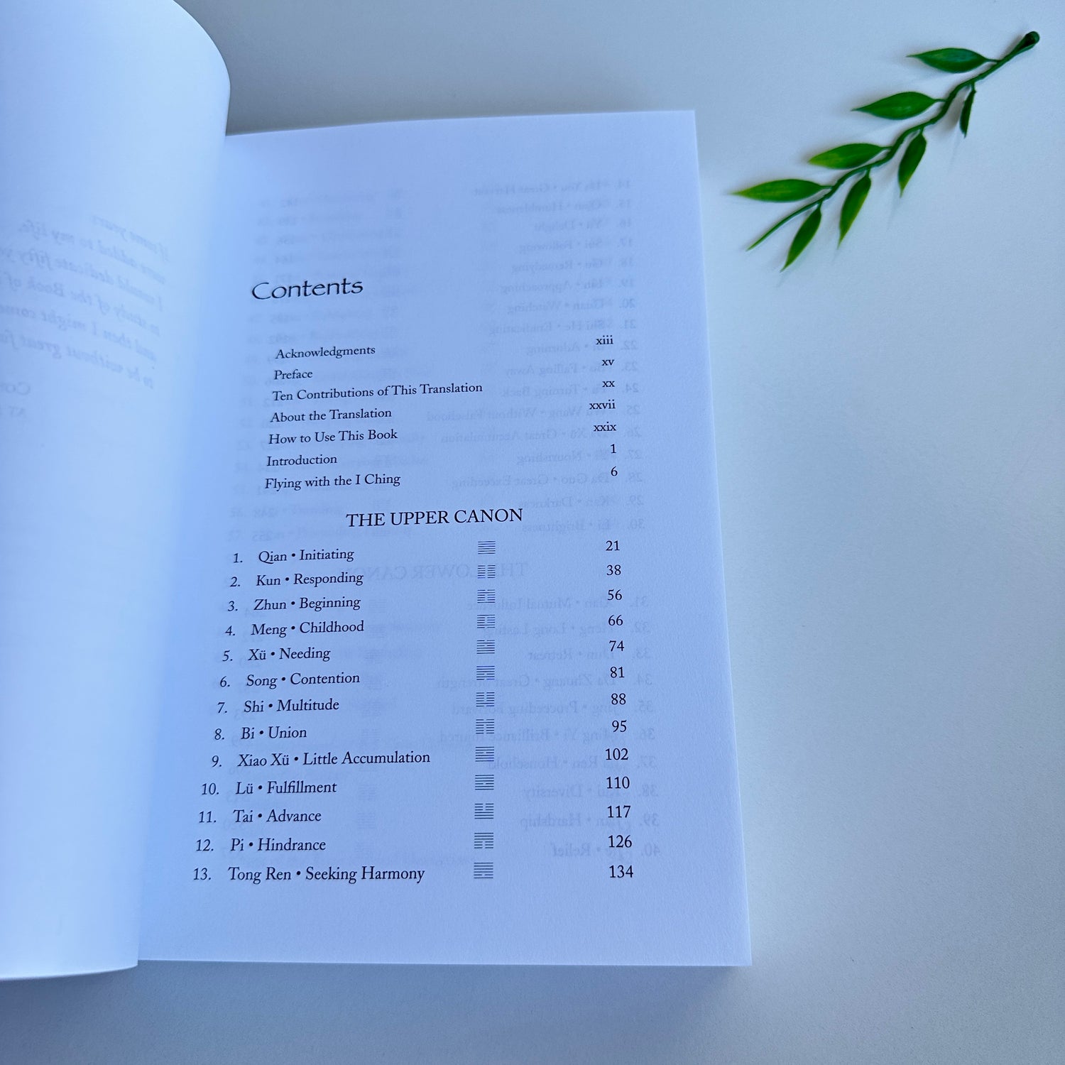 The Complete I Ching Alfred Huang