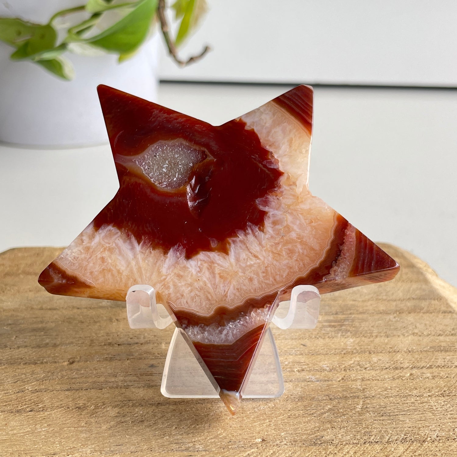 Carnelian Star 104g