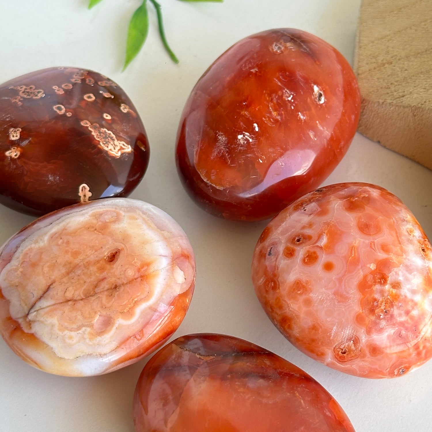 Carnelian Palmstone Medium
