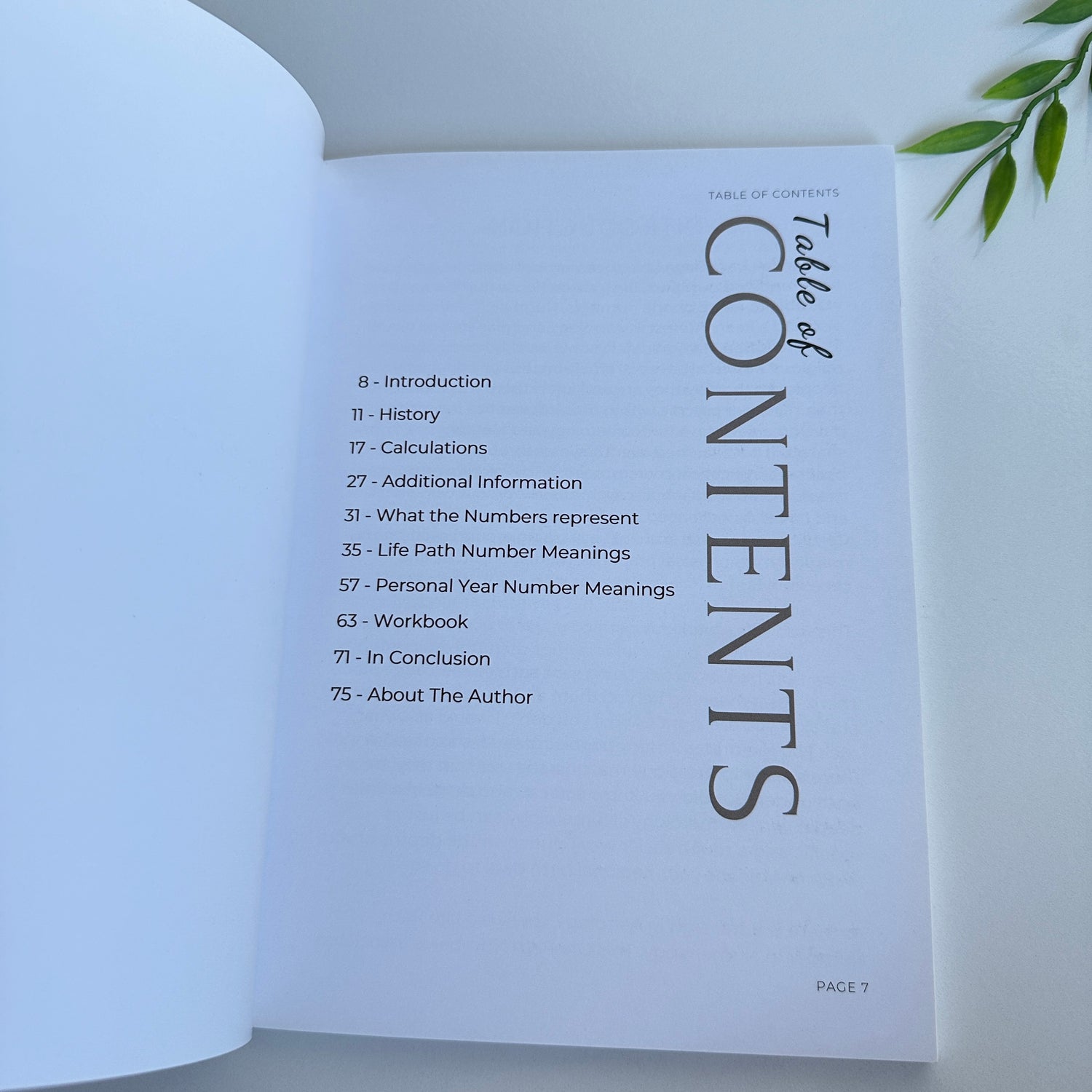 The Numerology Book Rachel Grace