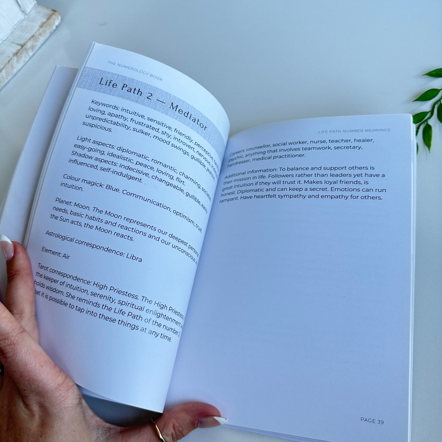 The Numerology Book Rachel Grace