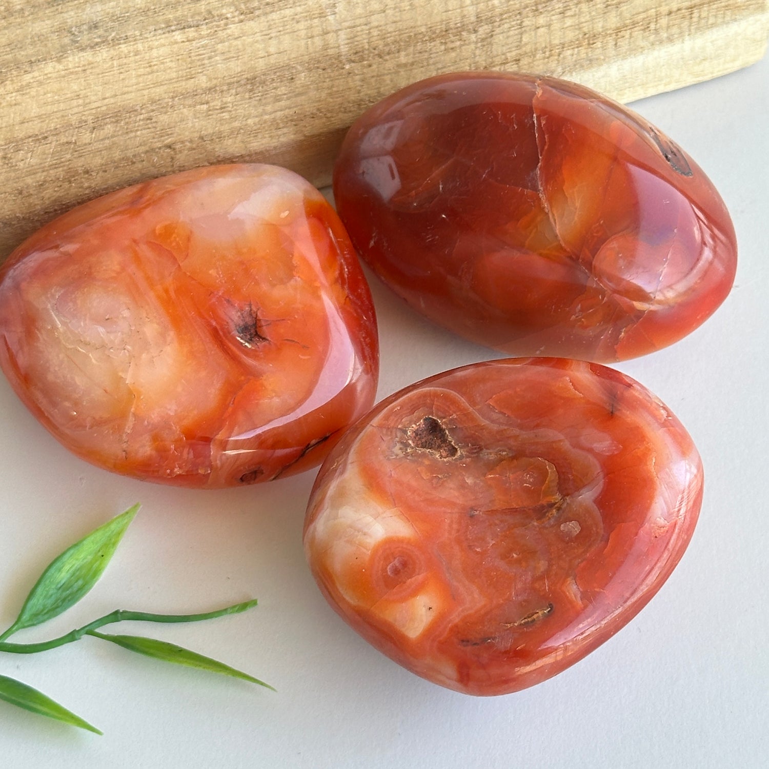 Carnelian Palmstone Lge