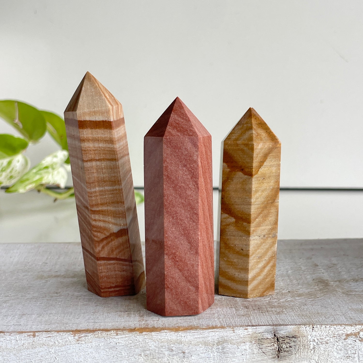 Picture Jasper Generator XS Assorted