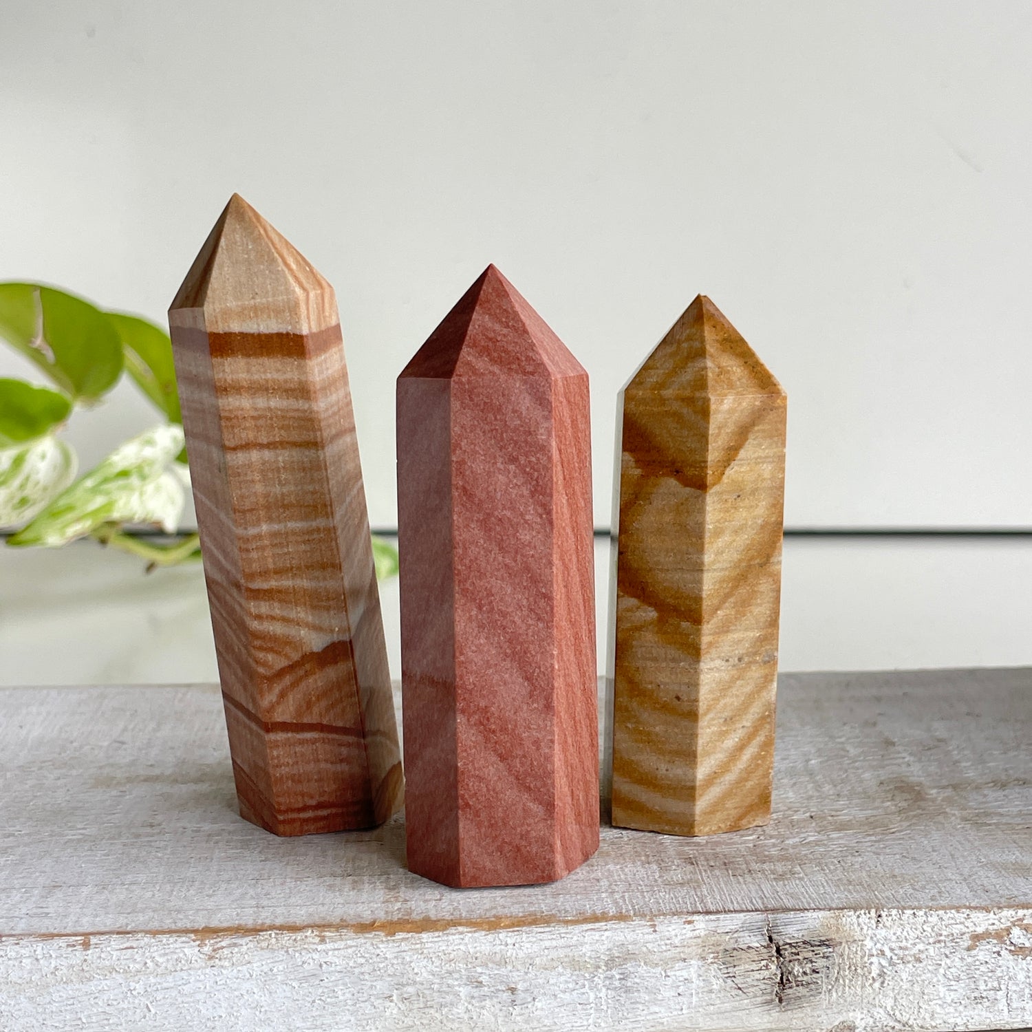 Picture Jasper Generator XS Assorted