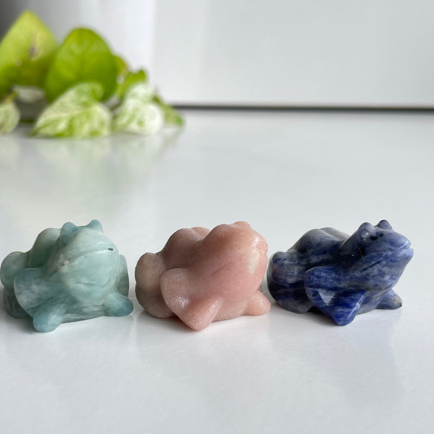 Crystal Frog Assorted