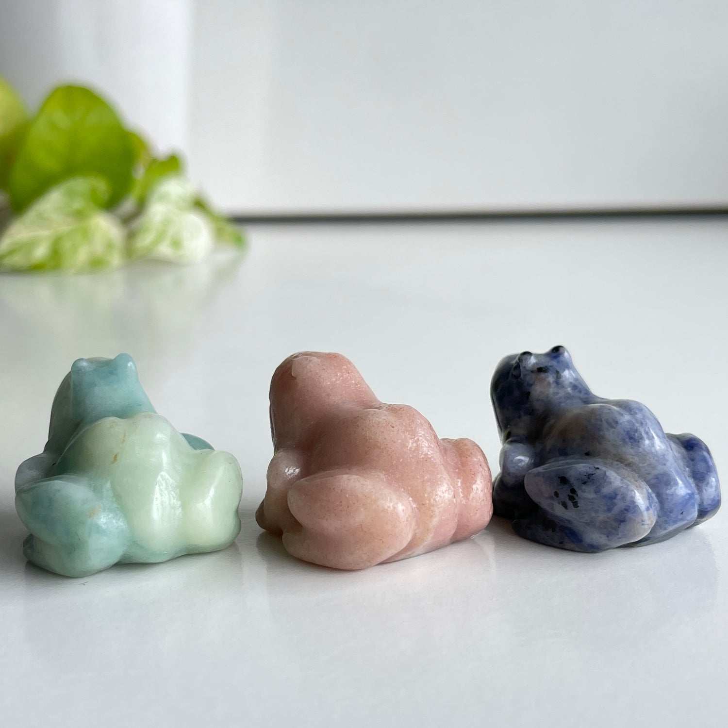 Crystal Frog Assorted