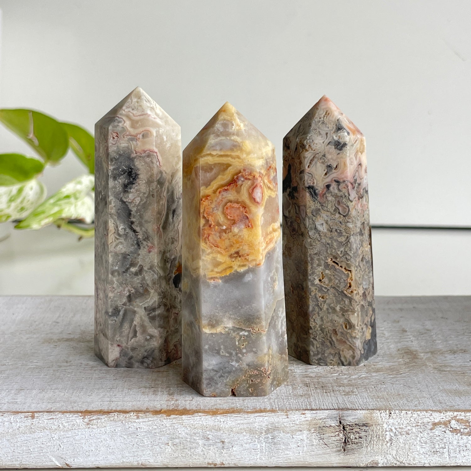 Crazy Lace Agate Generator Assorted Med