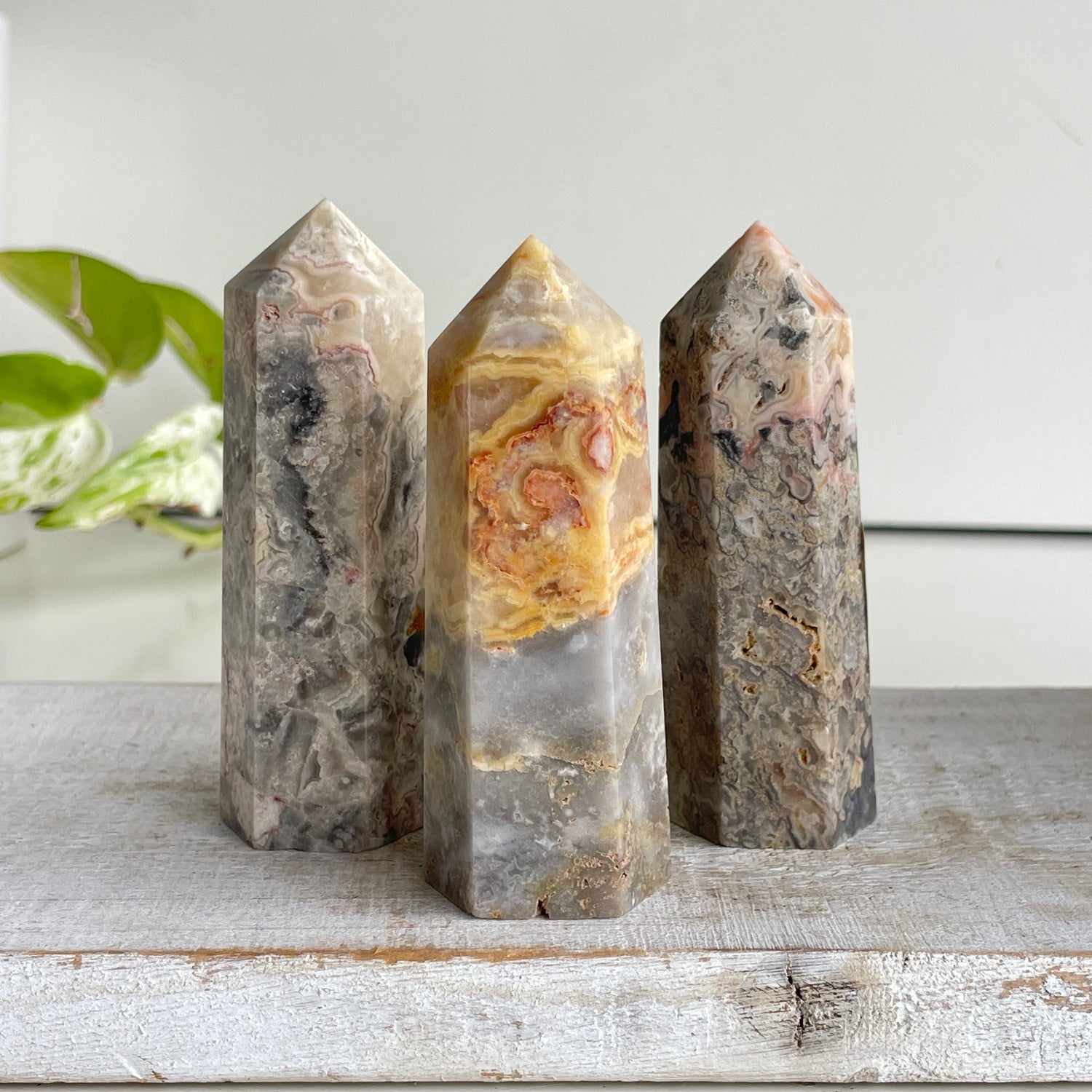 Crazy Lace Agate Generator Assorted Med