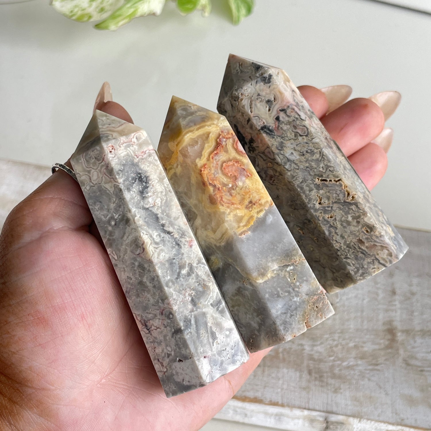 Crazy Lace Agate Generator Assorted Med