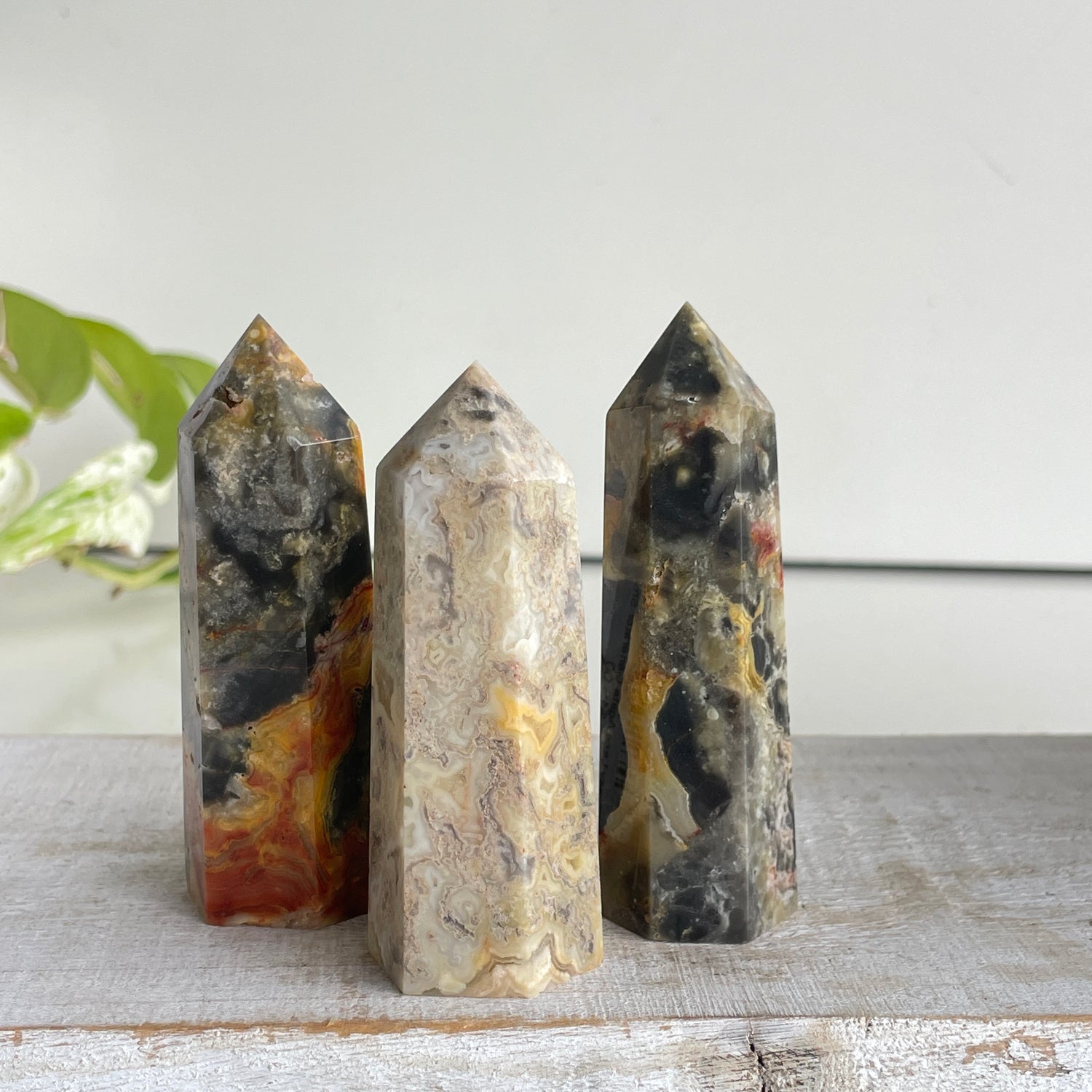 Crazy Lace Agate Generator Sml.
