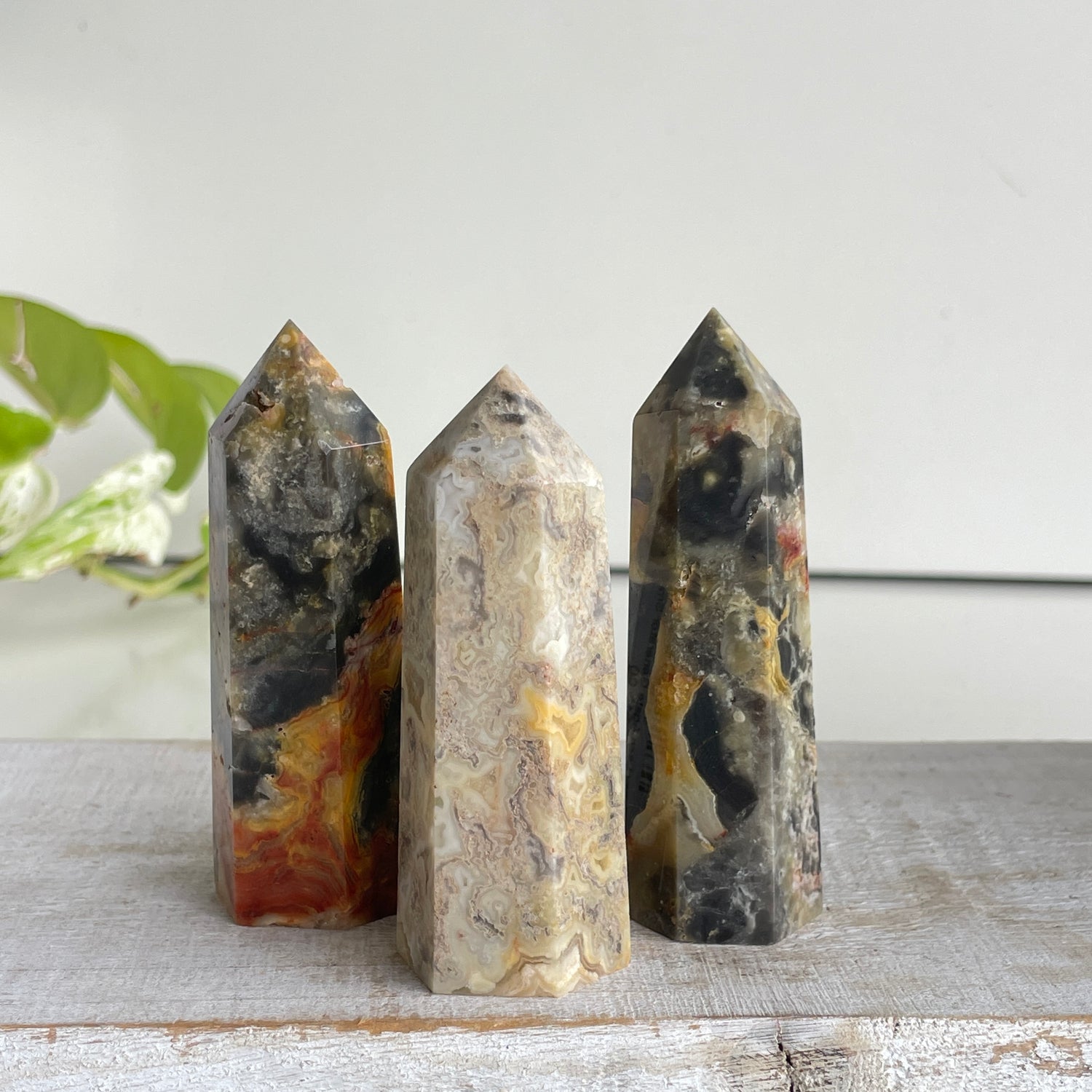 Crazy Lace Agate Generator Sml.