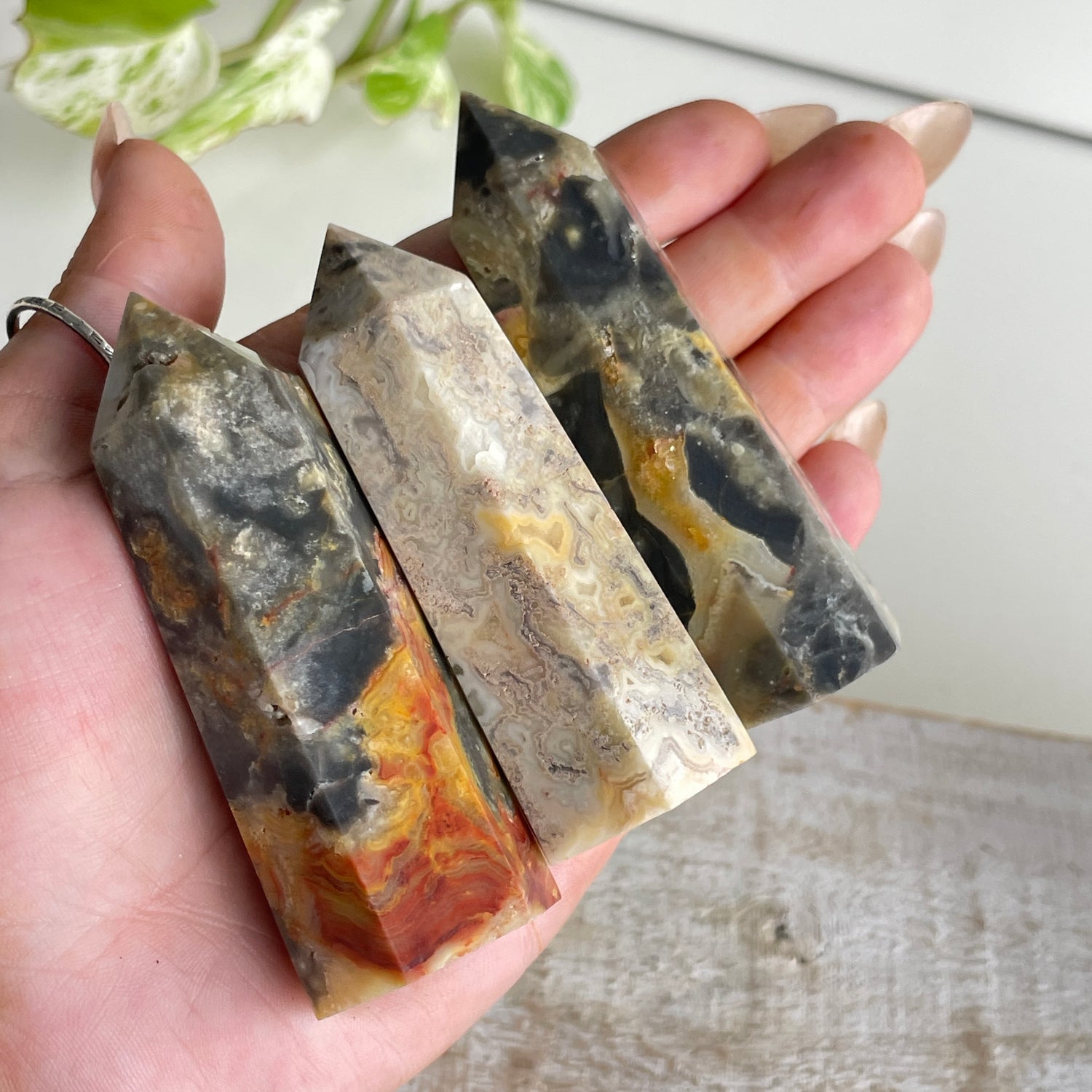 Crazy Lace Agate Generator Sml.