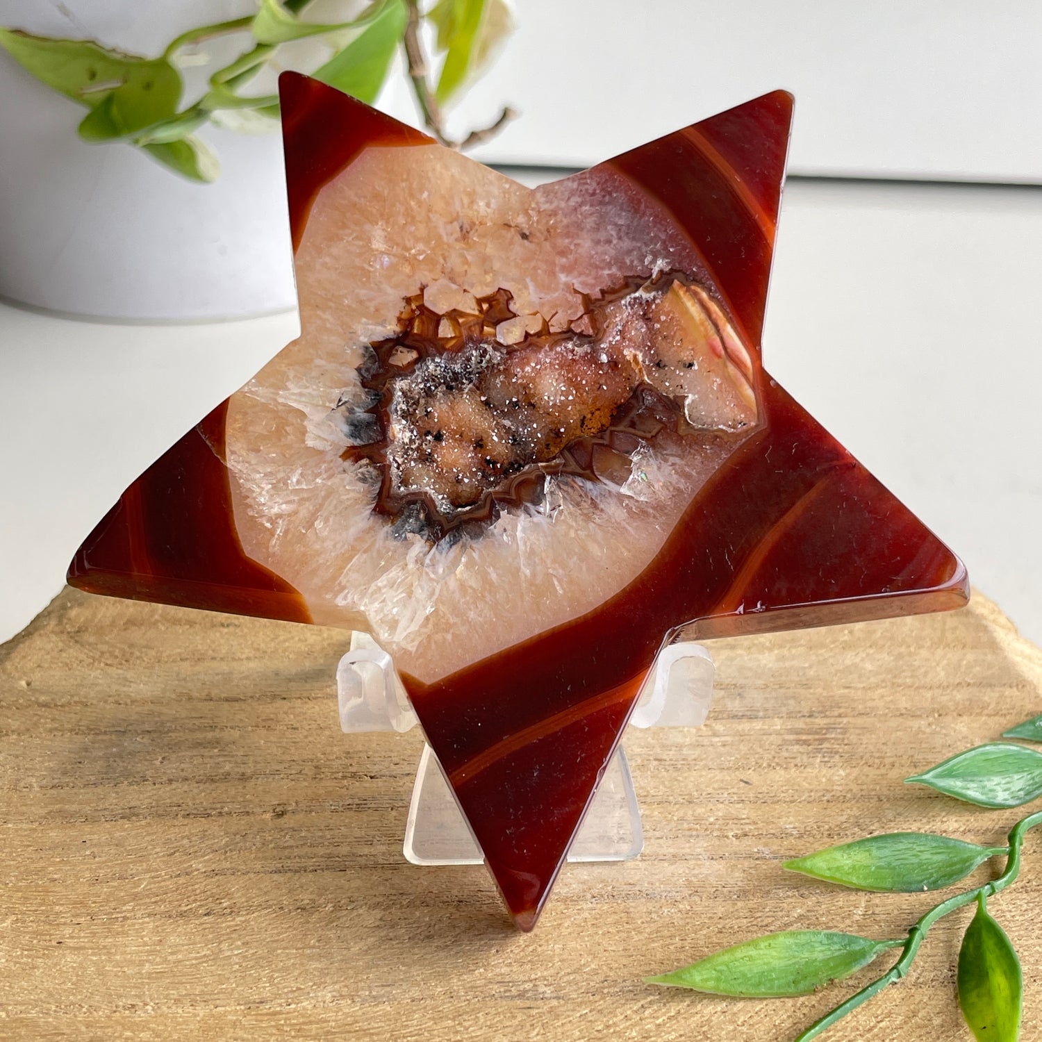 Carnelian Star 178g