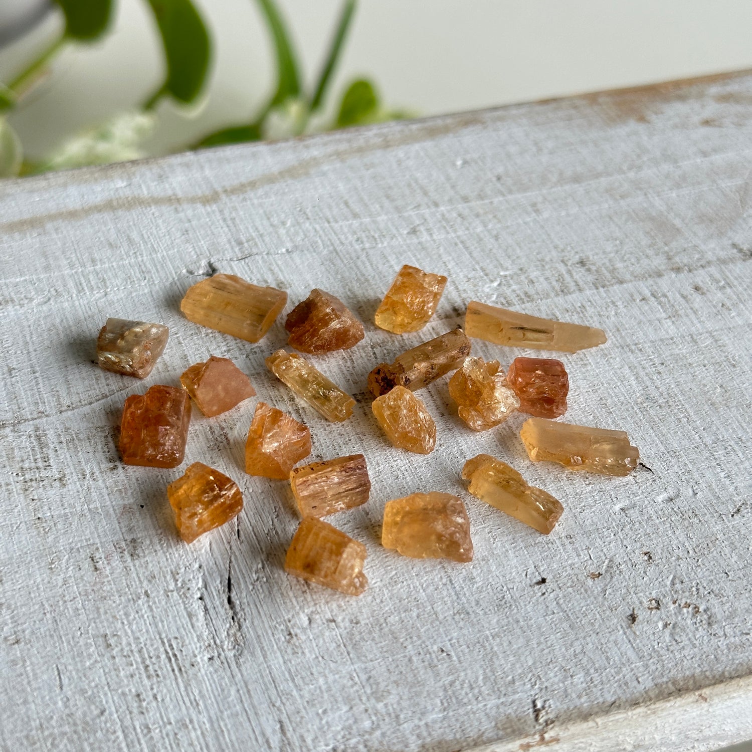 Imperial Topaz Pc 0.5g - 1g