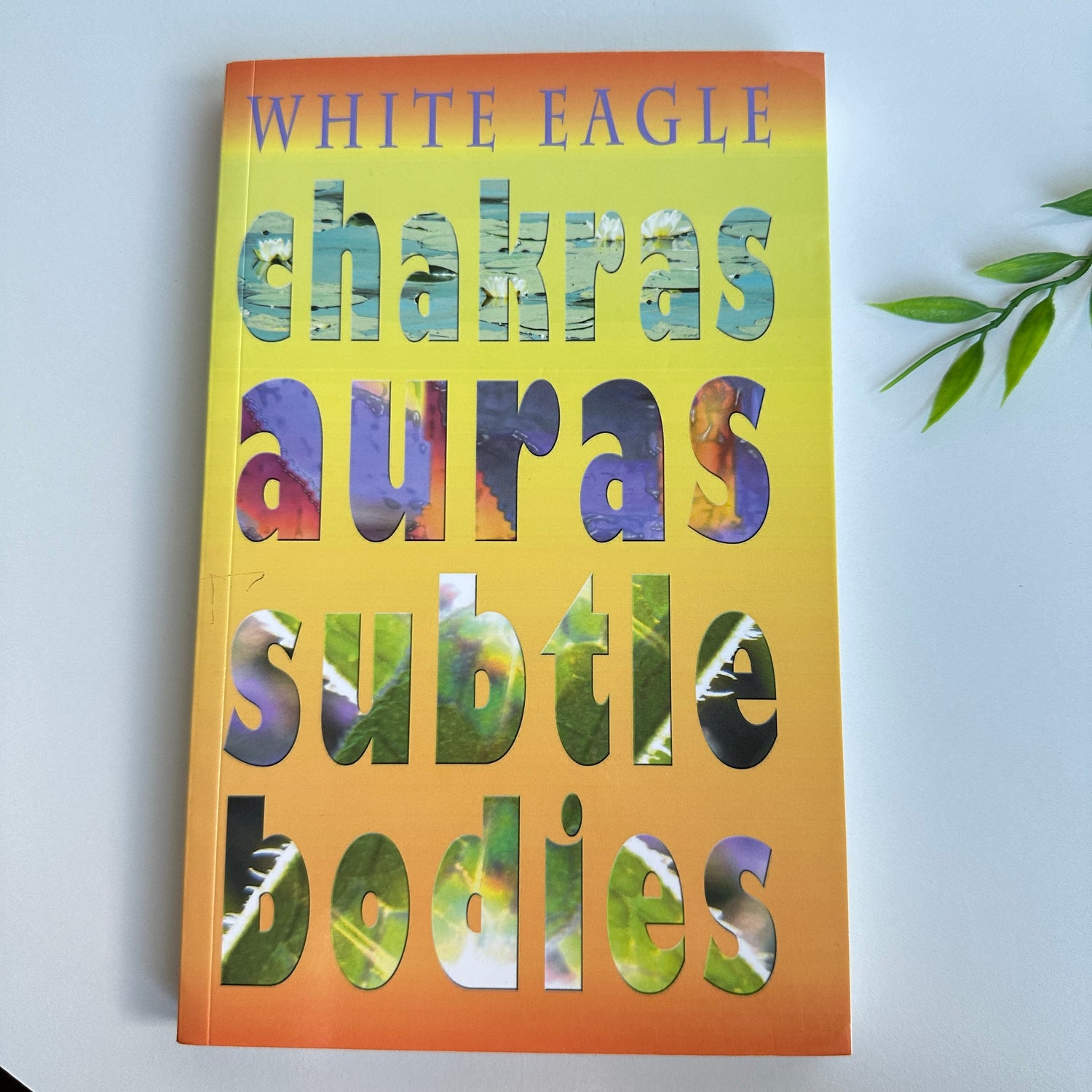 Chakras Auras Subtle Bodies White Eagle