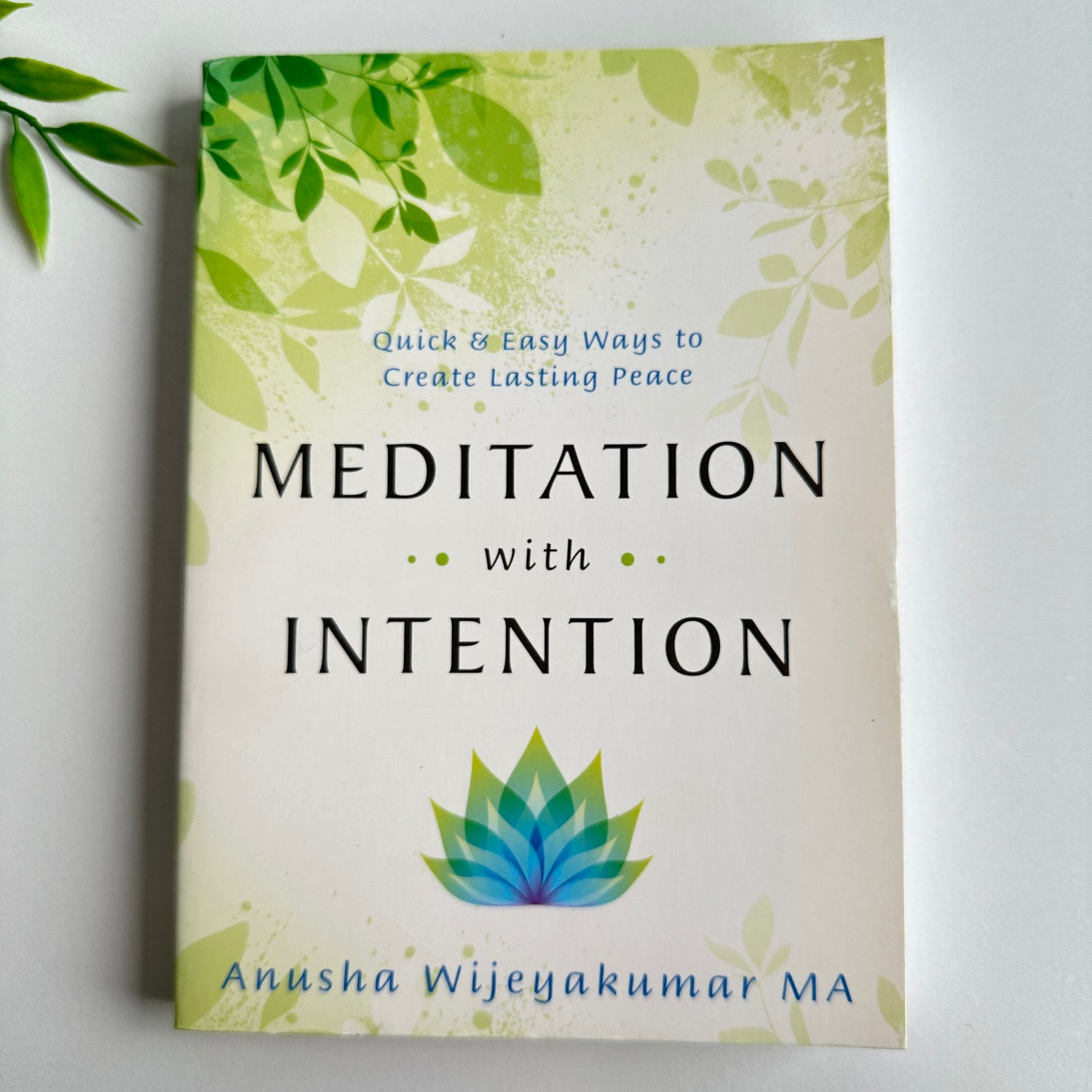 Meditation With Intention Anusha Wijeyakumar