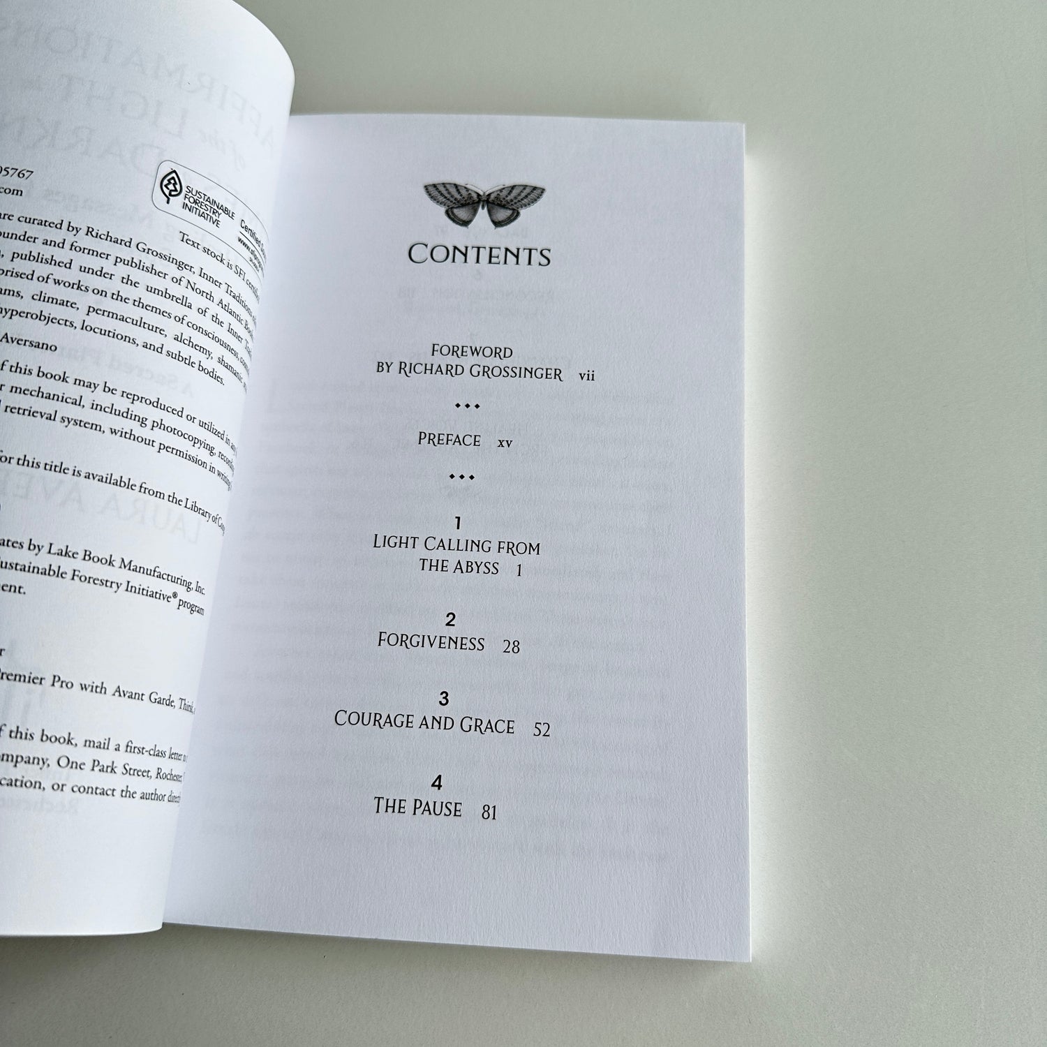 Affirmations Of The Light in Times Of Dark Laura Aversano