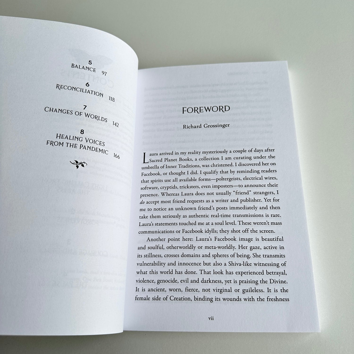 Affirmations Of The Light in Times Of Dark Laura Aversano