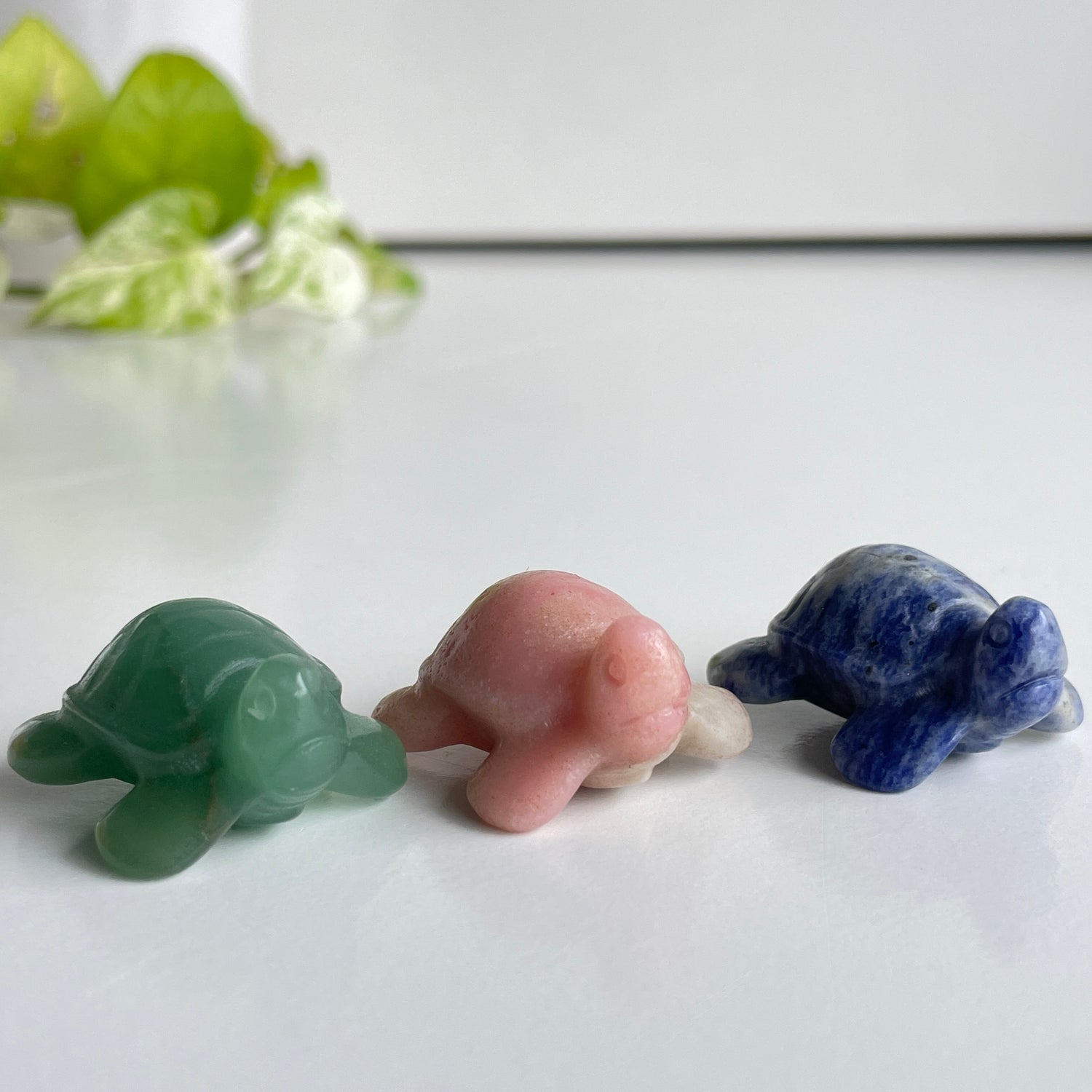 Crystal Turtle Assorted