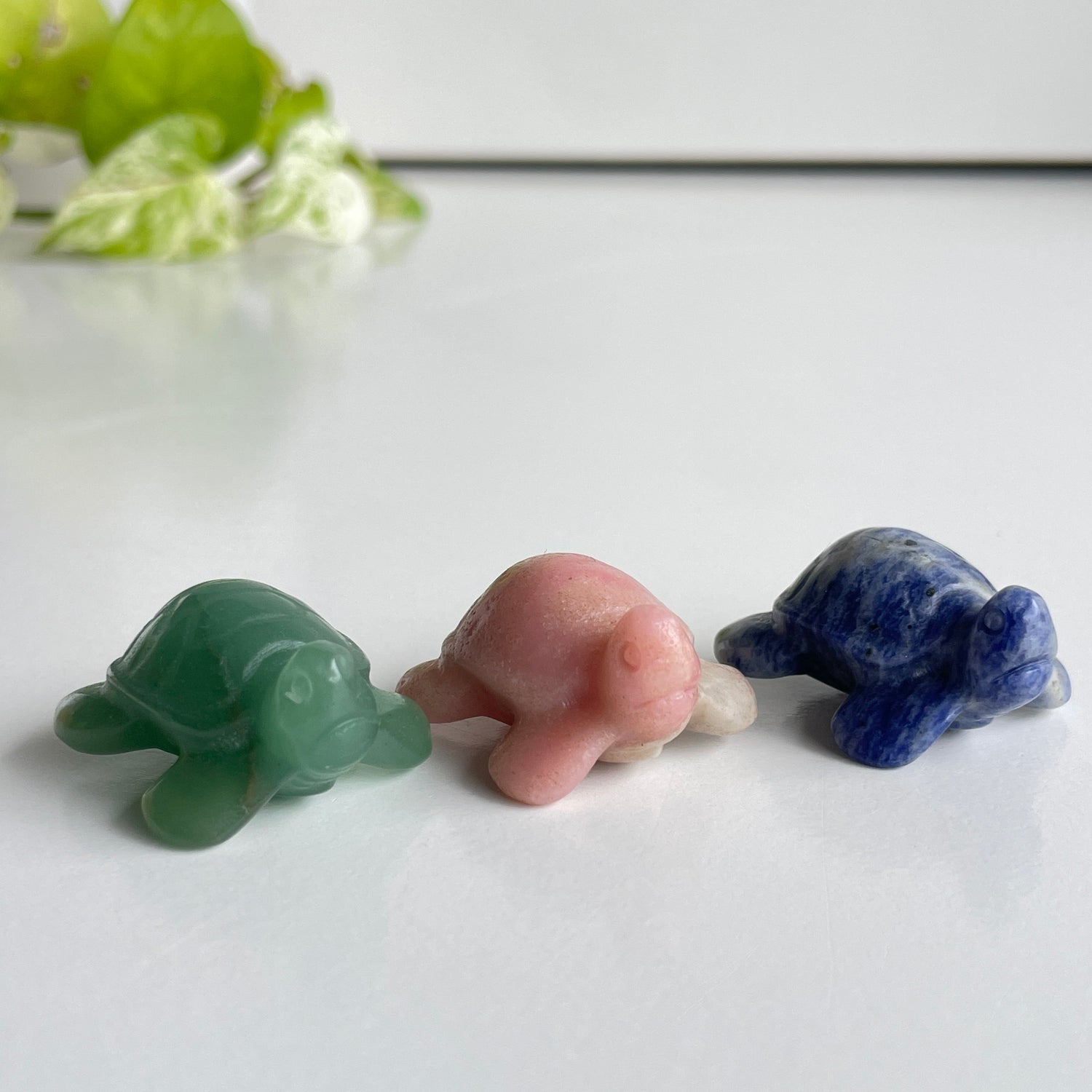 Crystal Turtle Assorted
