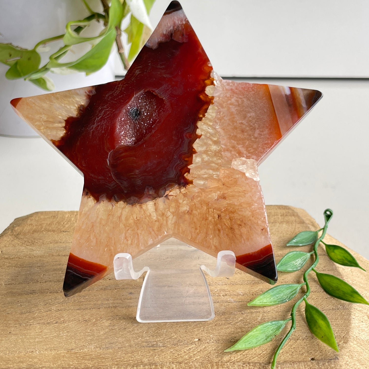 Carnelian Star 224g