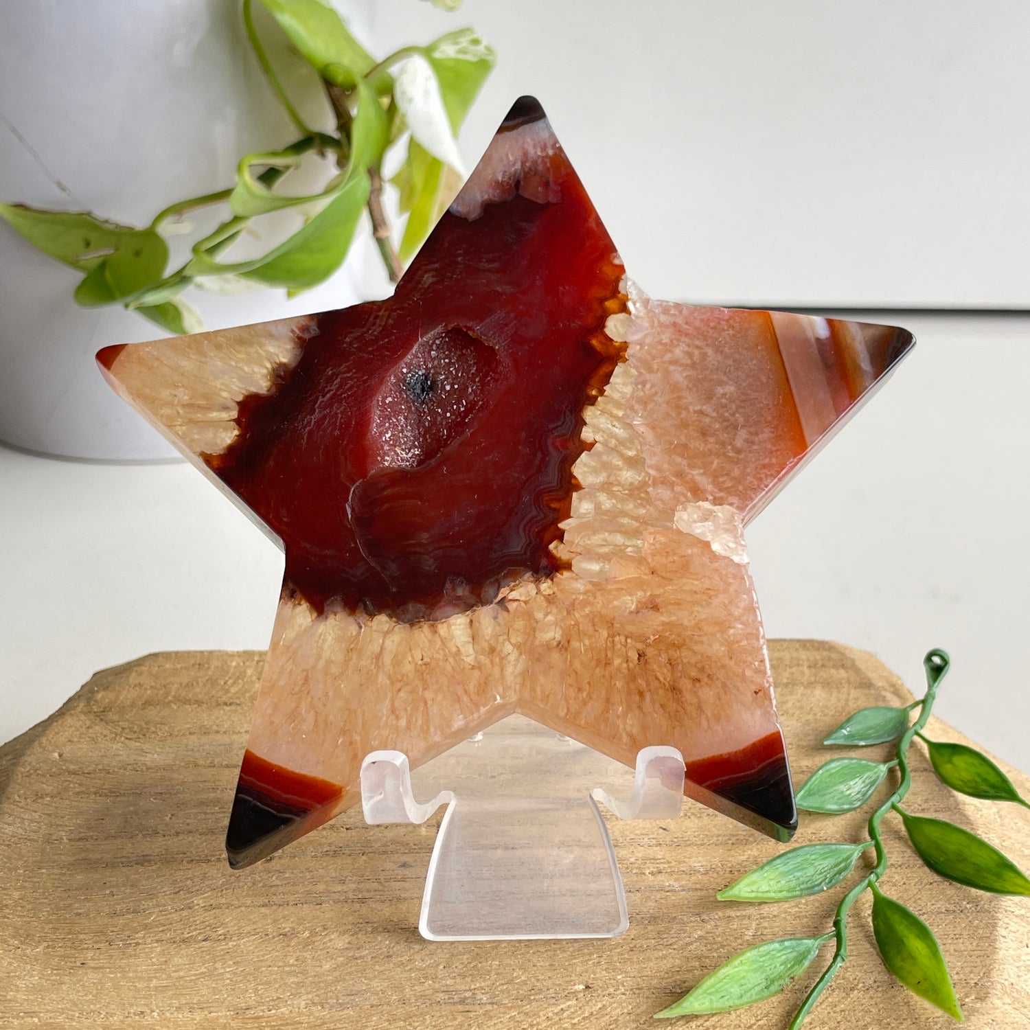 Carnelian Star 224g