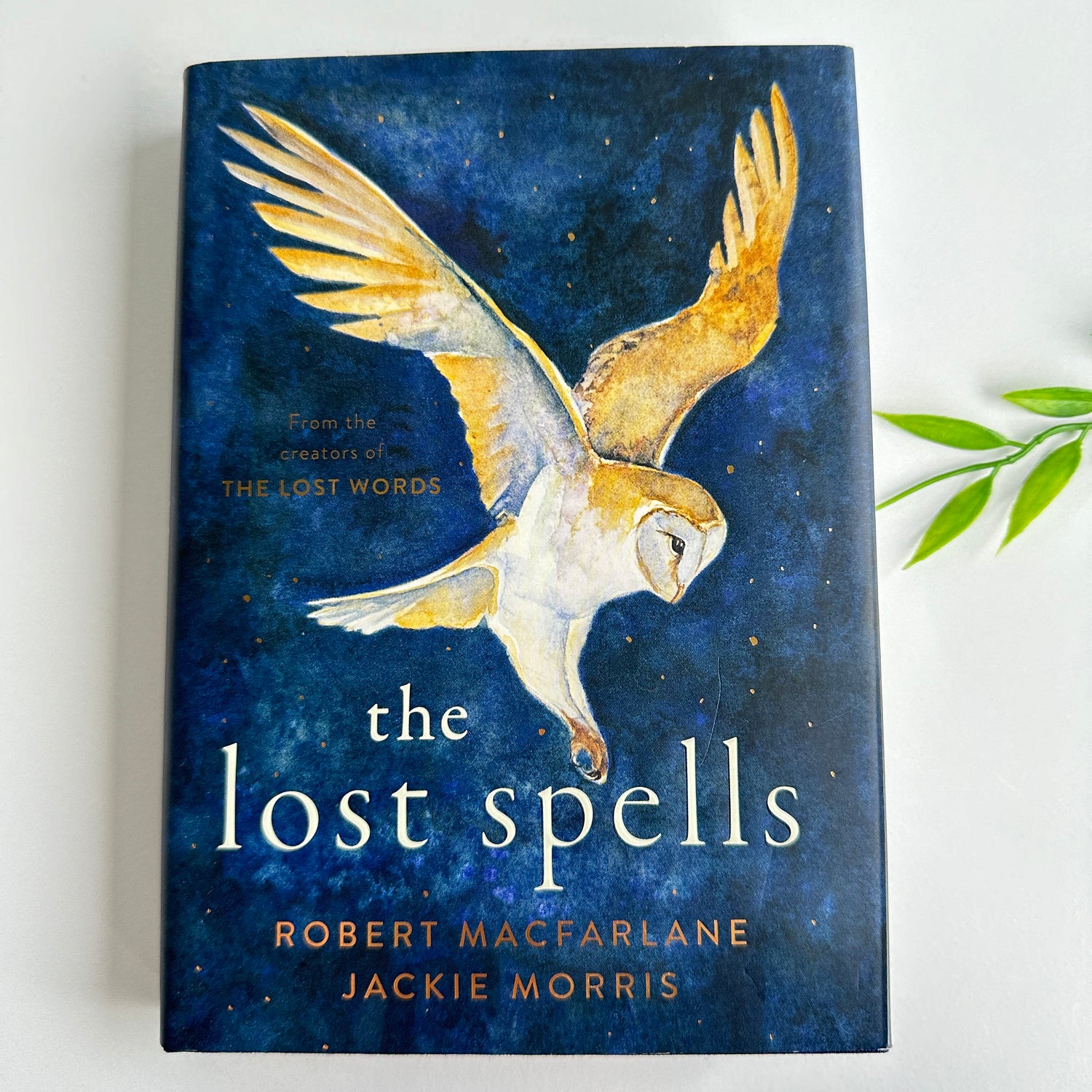 The Lost Spells  Jackie Morris