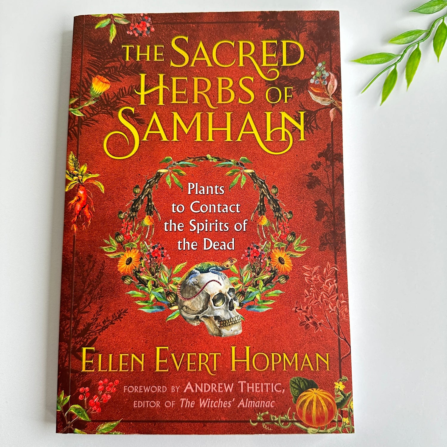 The Sacred Herbs Of Samhain Ellen Evert Hopman