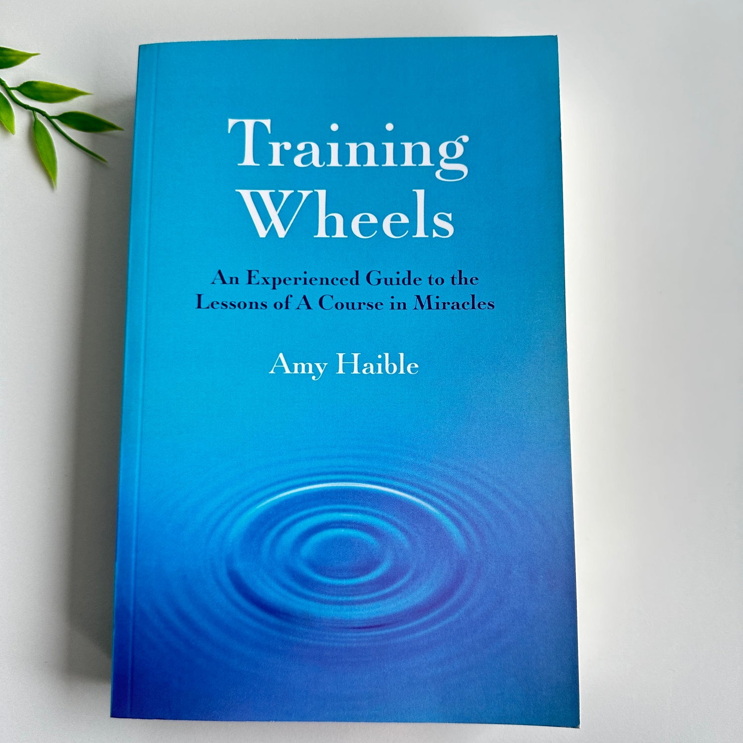 Training Wheels Amy Haible