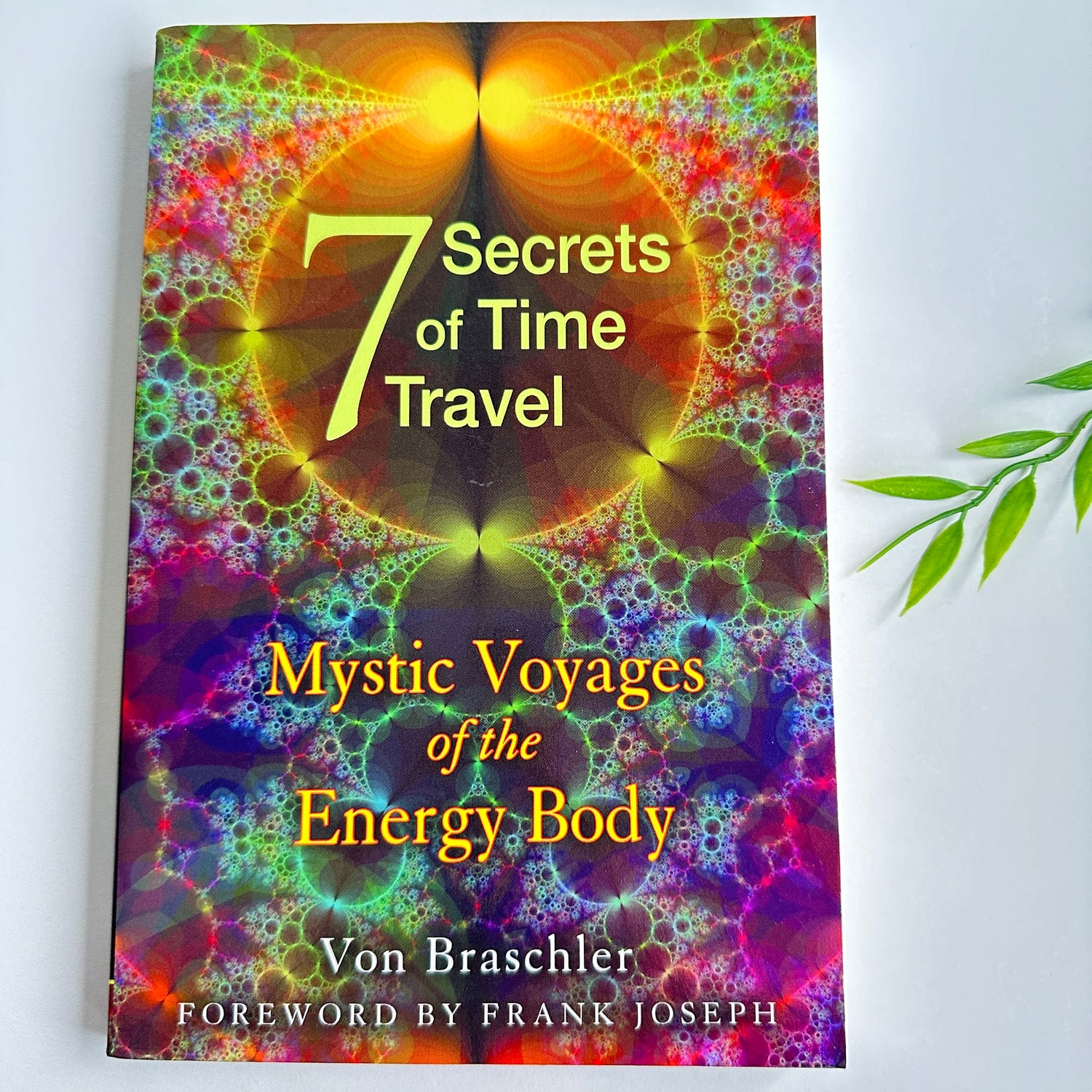 Seven Secrets Of Time Travel Von Braschler