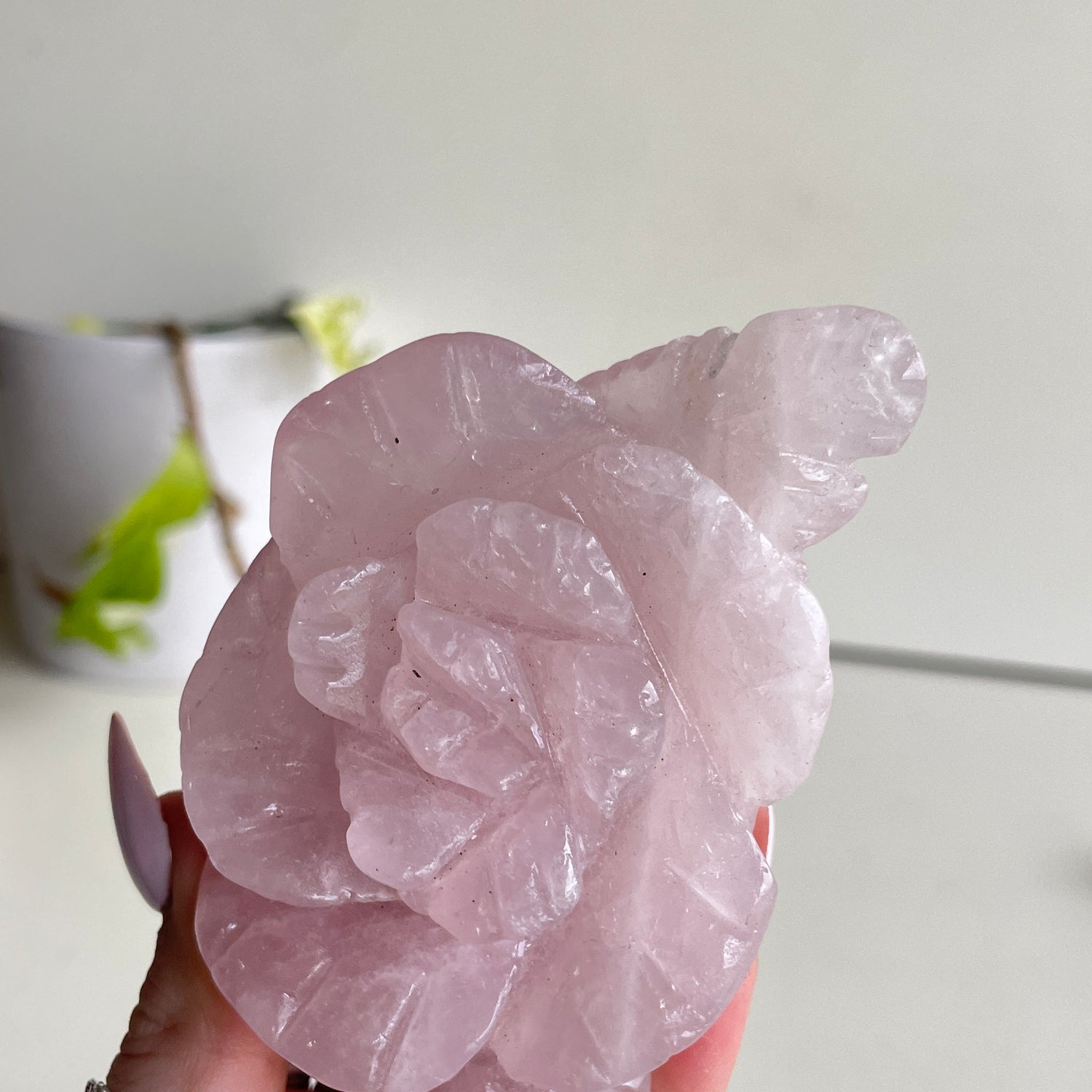 Rose Quartz Flower 9.5cm
