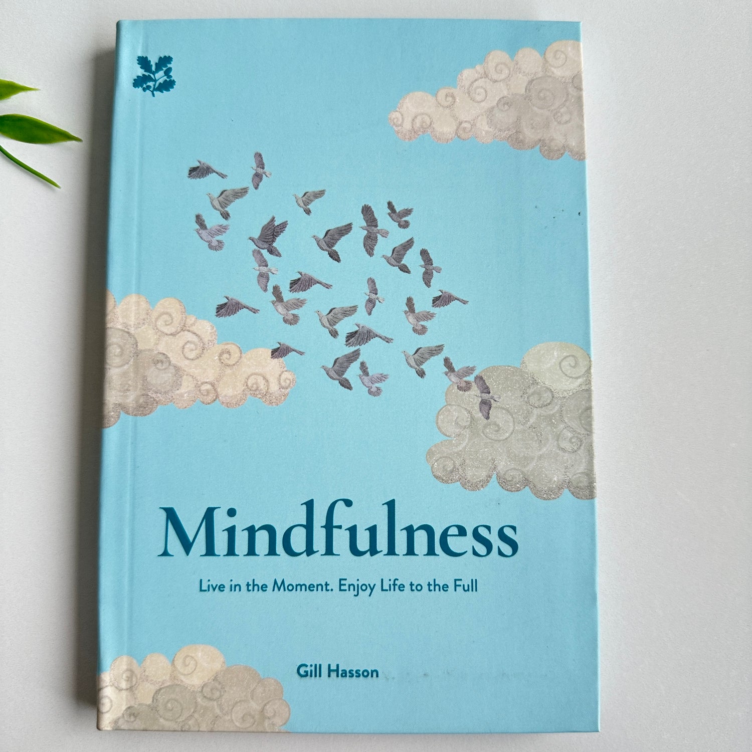 Mindfulness for Life Gill Hasson