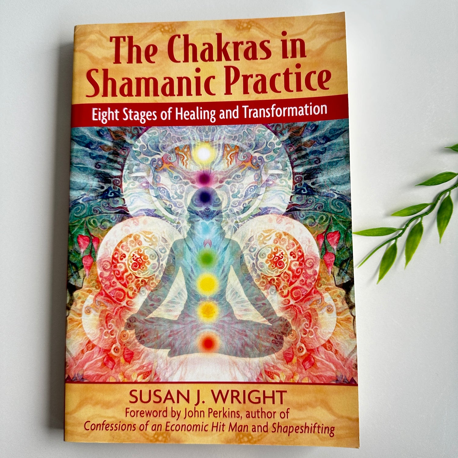 The Chakras In Shamanic Practice Susan Wright