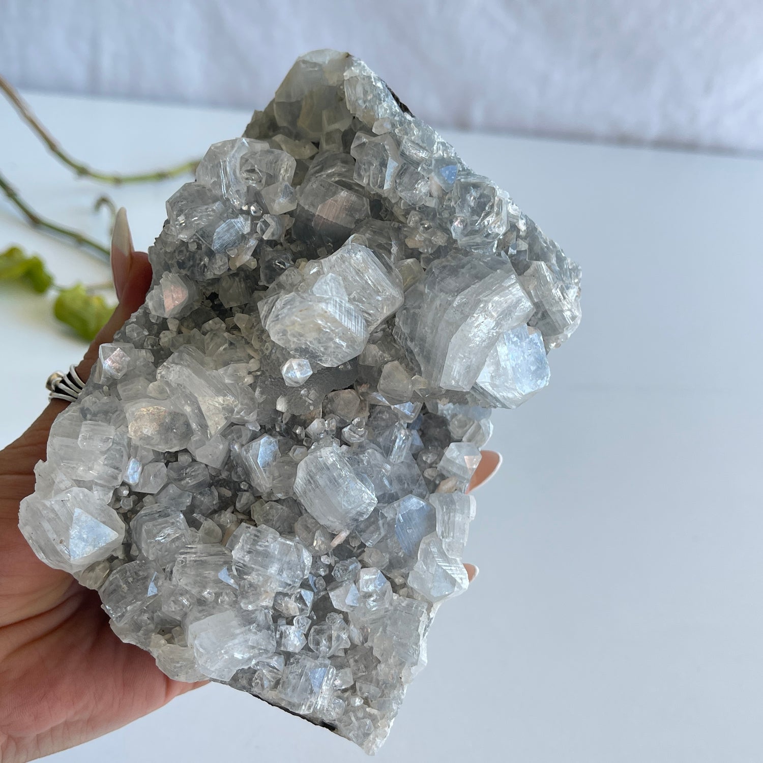 Apophyllite Cluster 888g