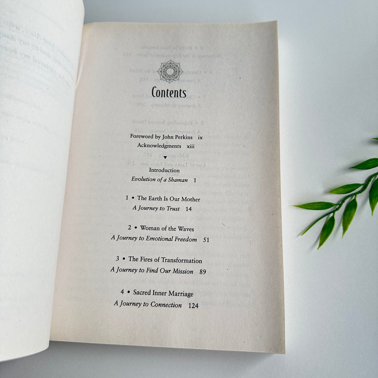 The Chakras In Shamanic Practice Susan Wright