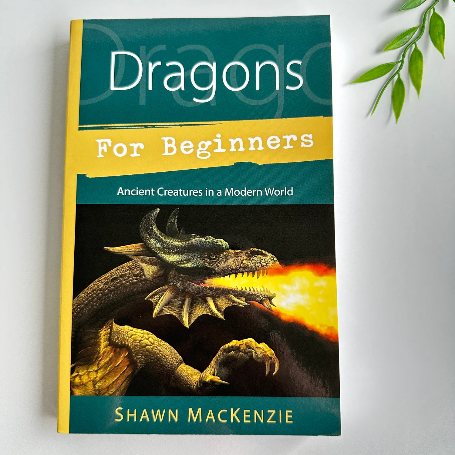 Dragons For Beginners Shawn Mackenzie